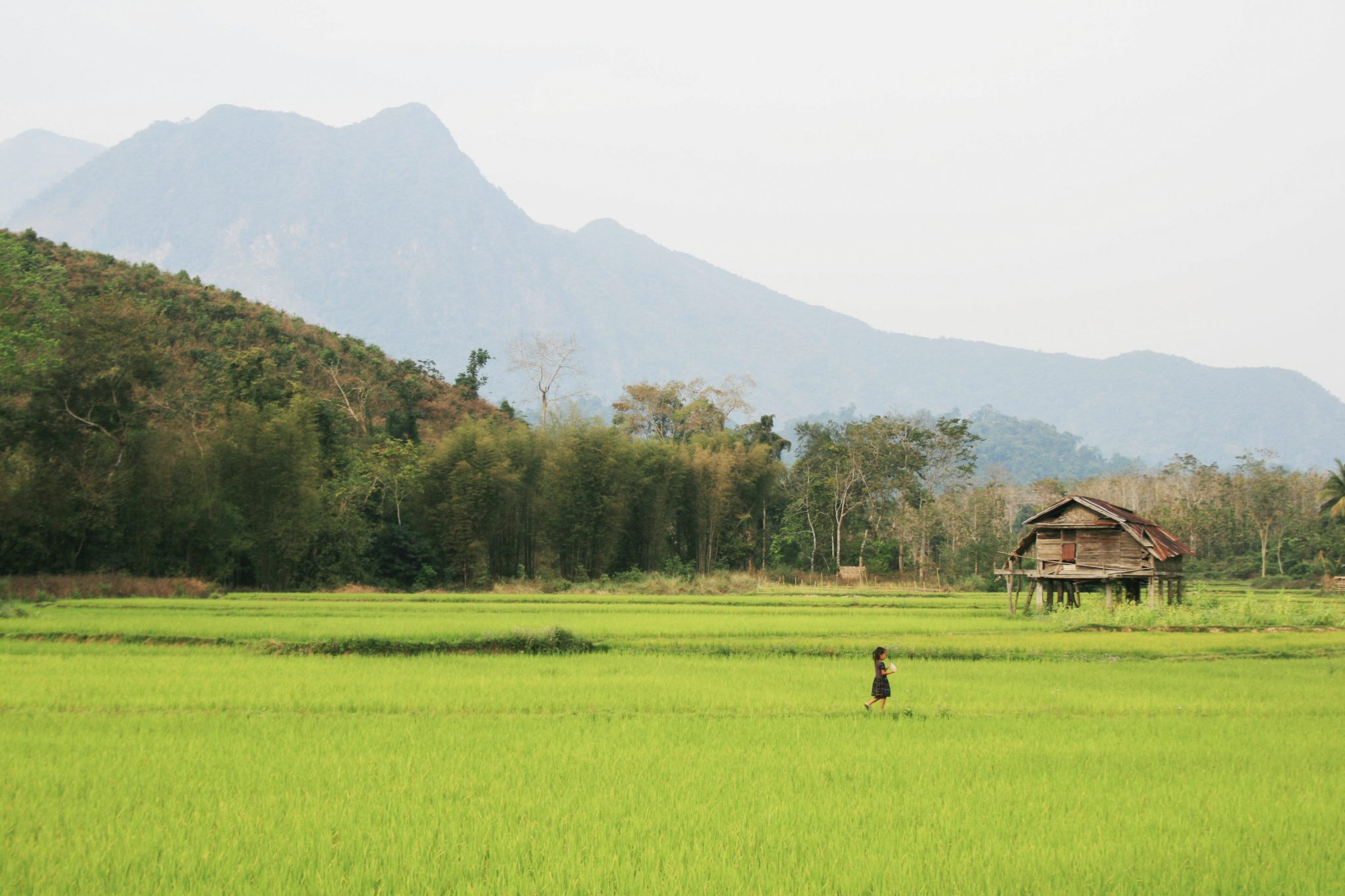 Young girl, Nong Khiaw, Laos