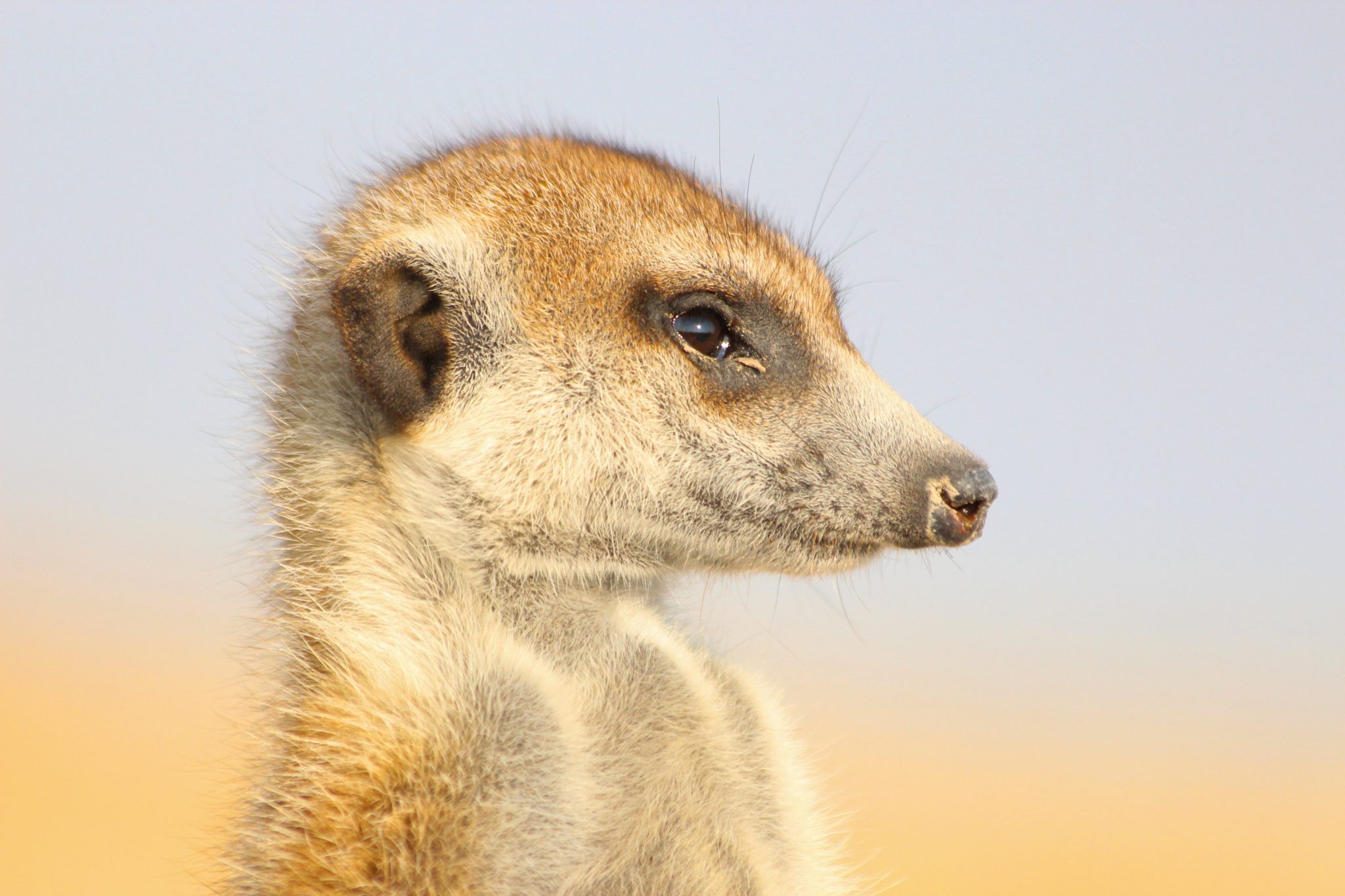 Botswana