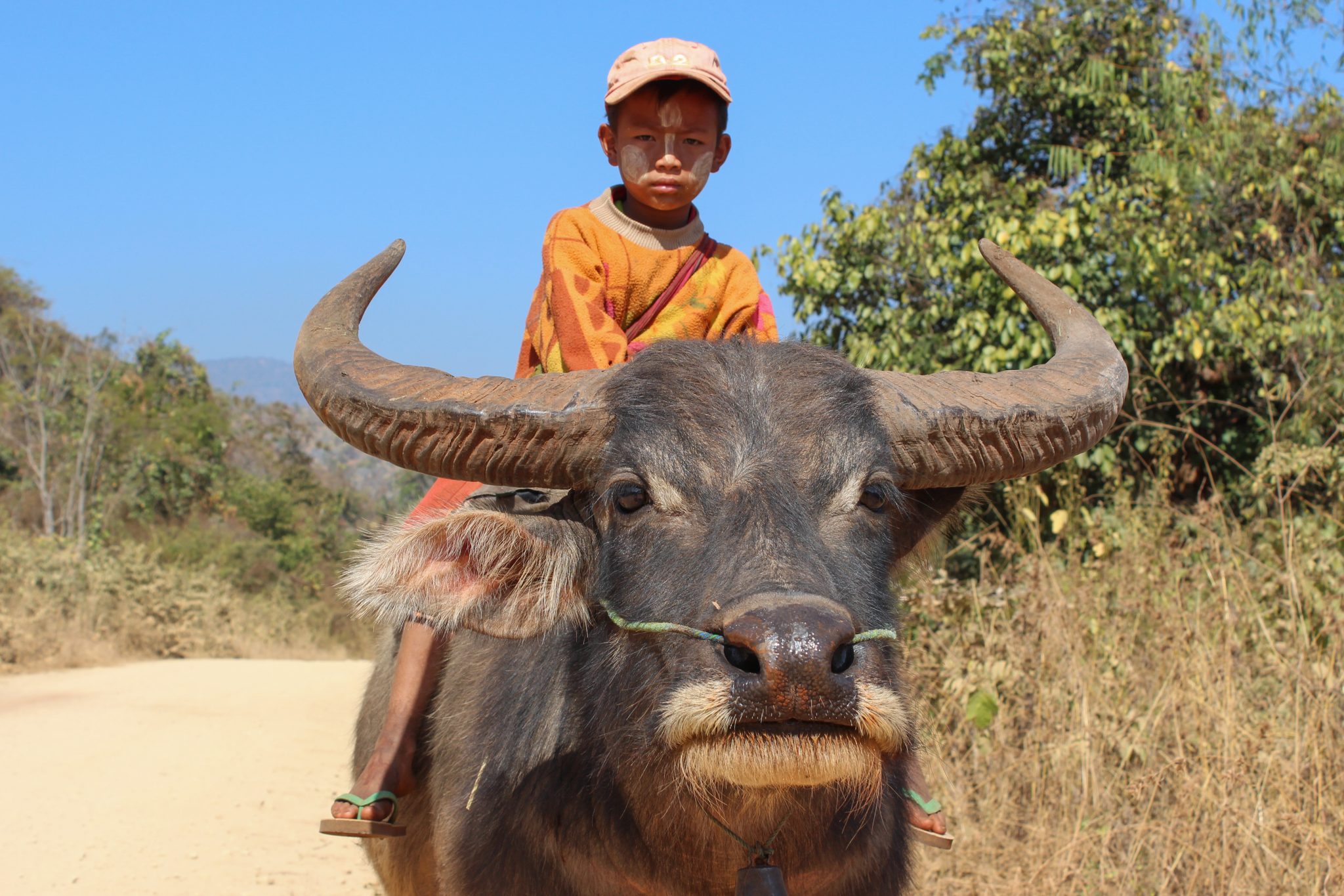 Boy and waterbuffalo, In Thein, Myanmar