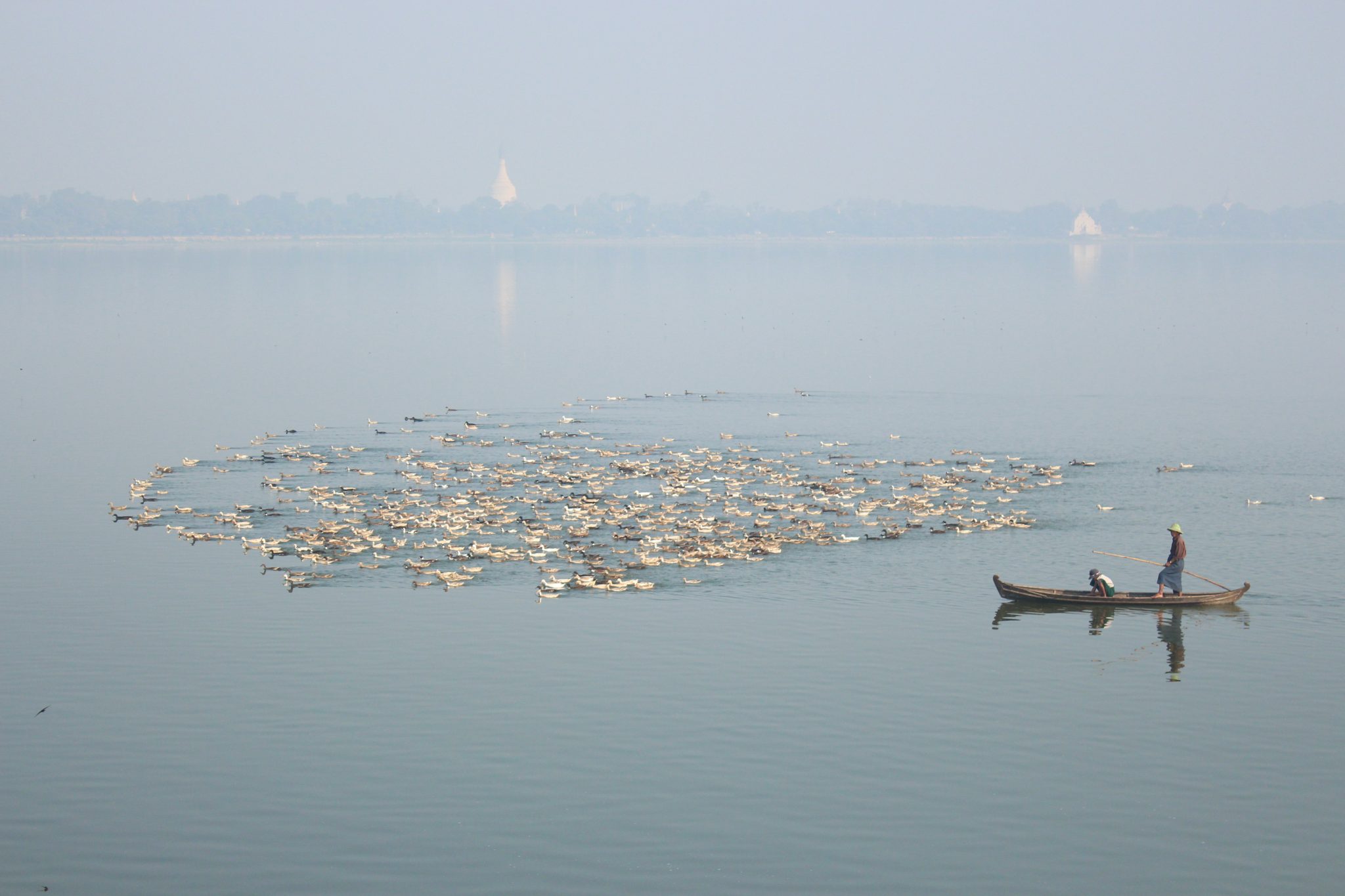 Duck farmers, Taungthaman Lake, Myanmar