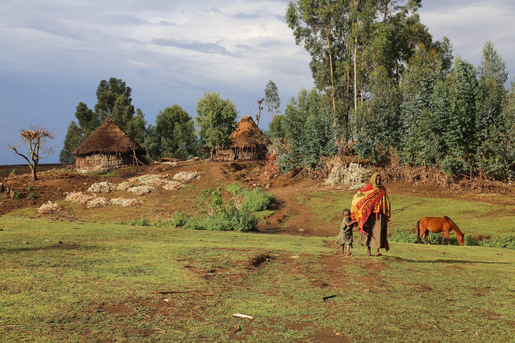 Limalimo, Simien Mountains National Park, Ethiopia
