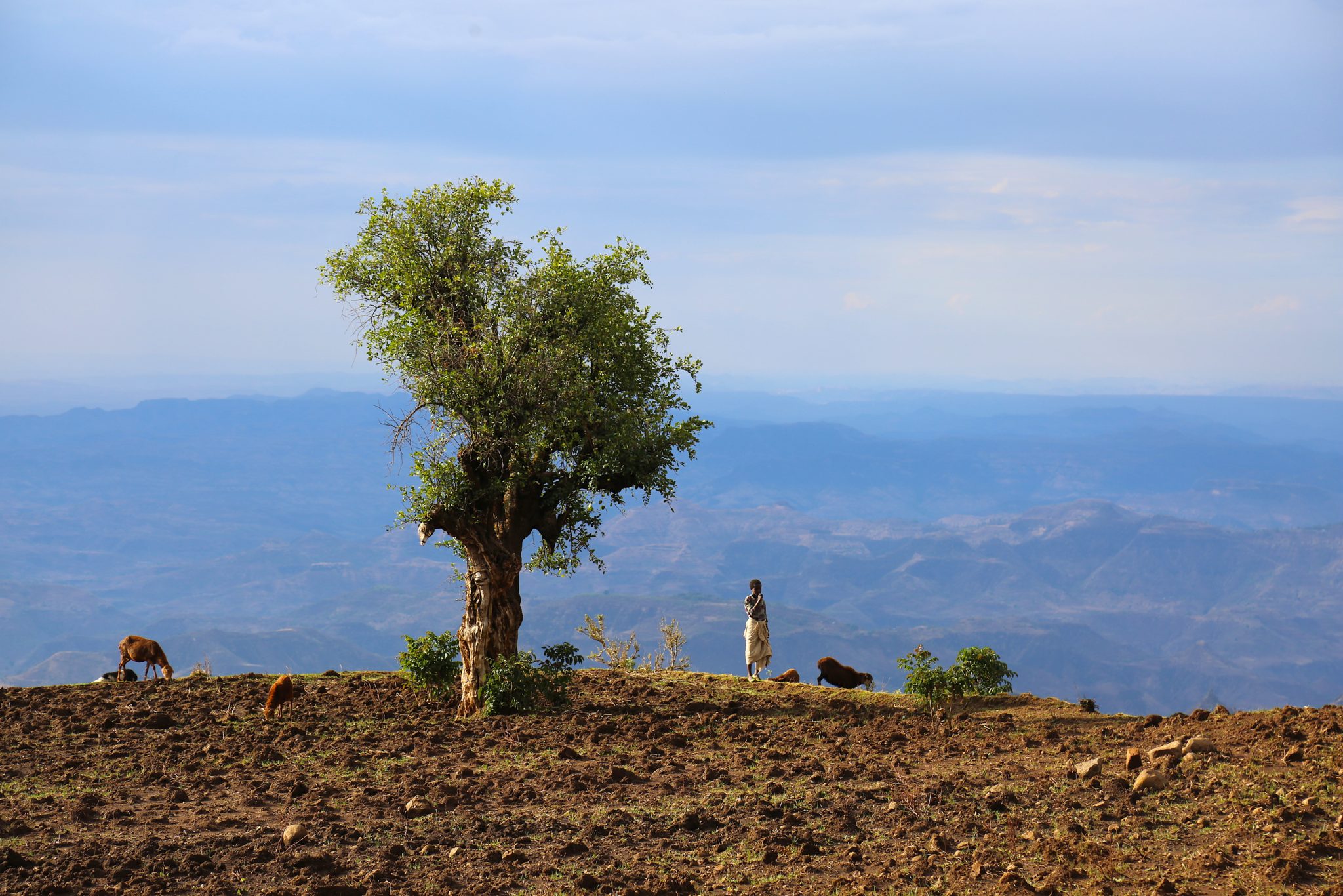 Local girl, Simien Mountains National Park, Ethiopia