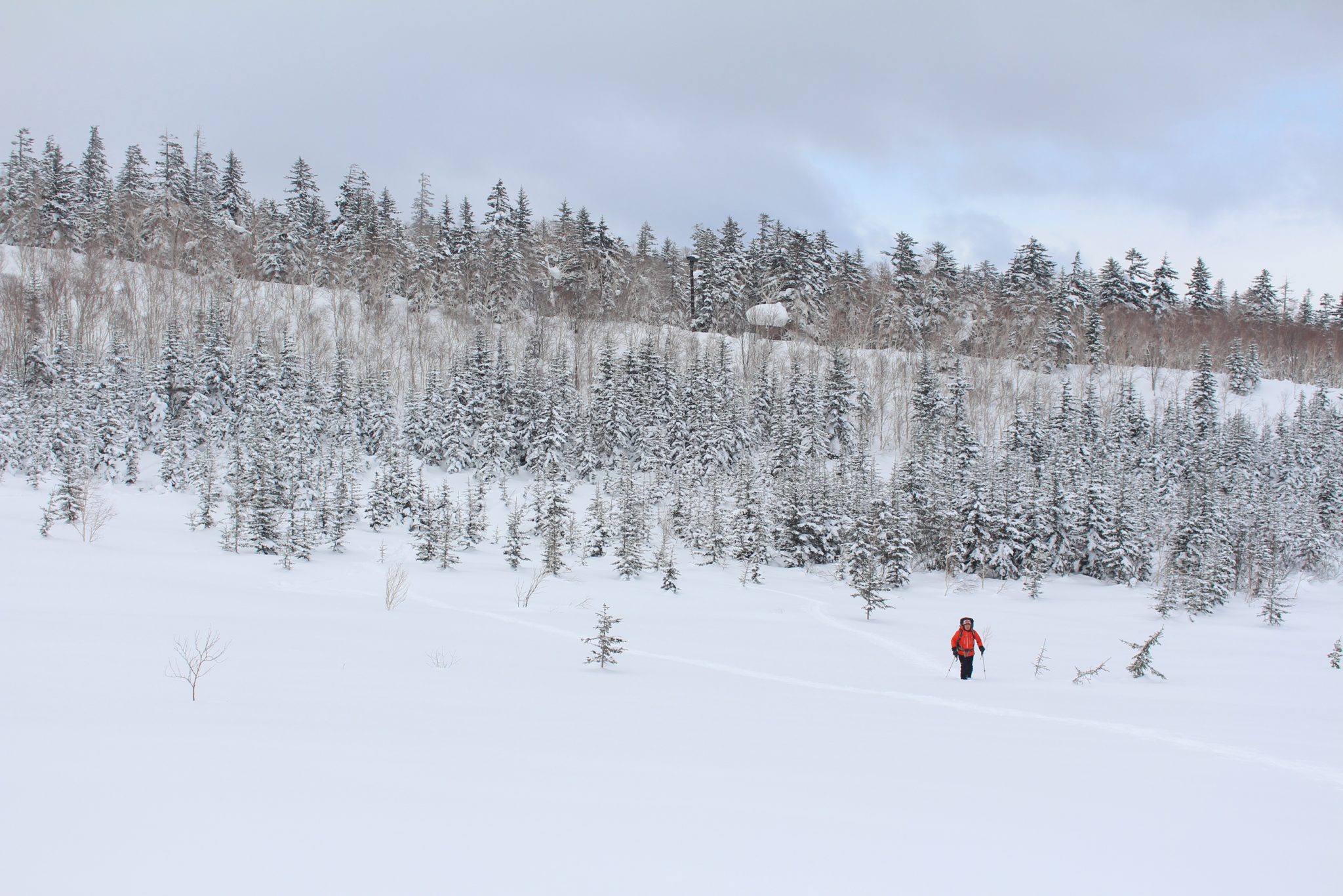 Snowshoer, Daisetsuzan National Park, Hokkaido, Japan