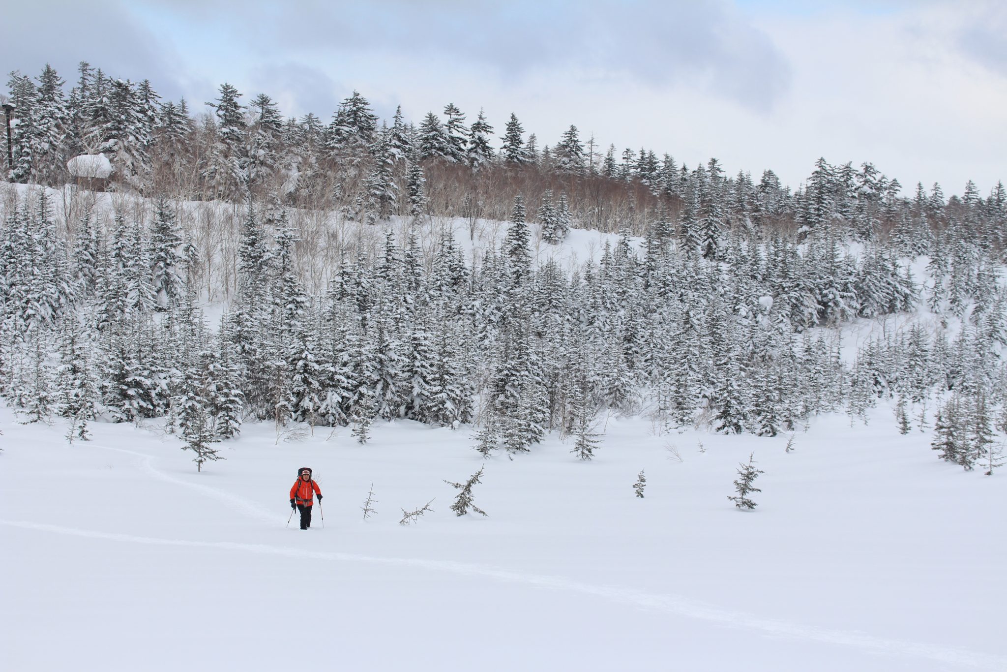 Snowshoer, Daisetsuzan National Park, Hokkaido, Japan