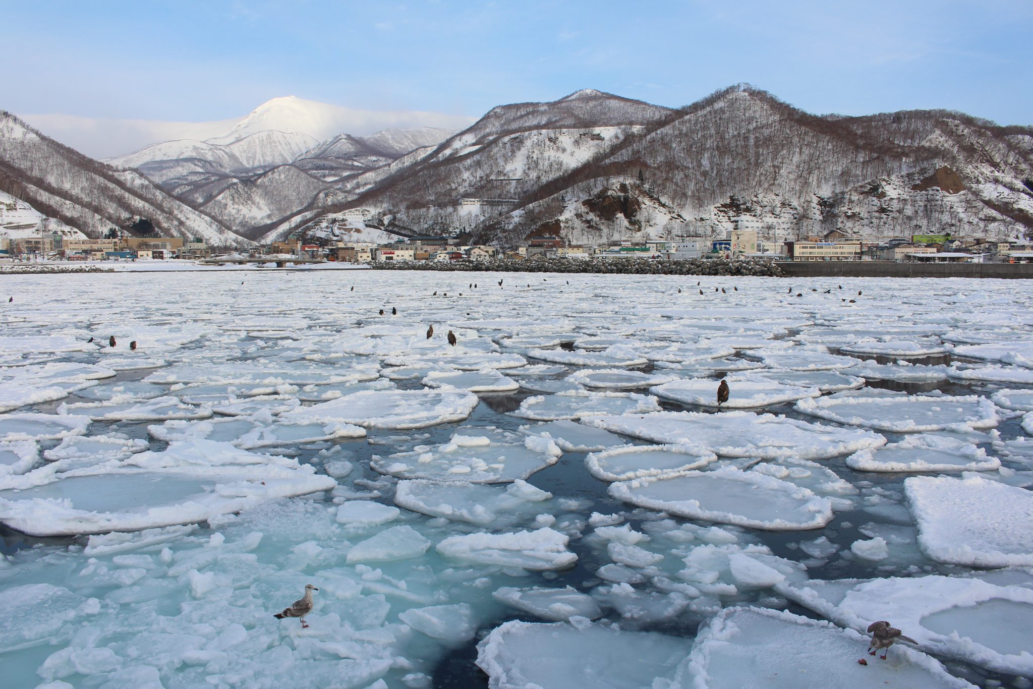 Rausu harbour, Hokkaido, Japan