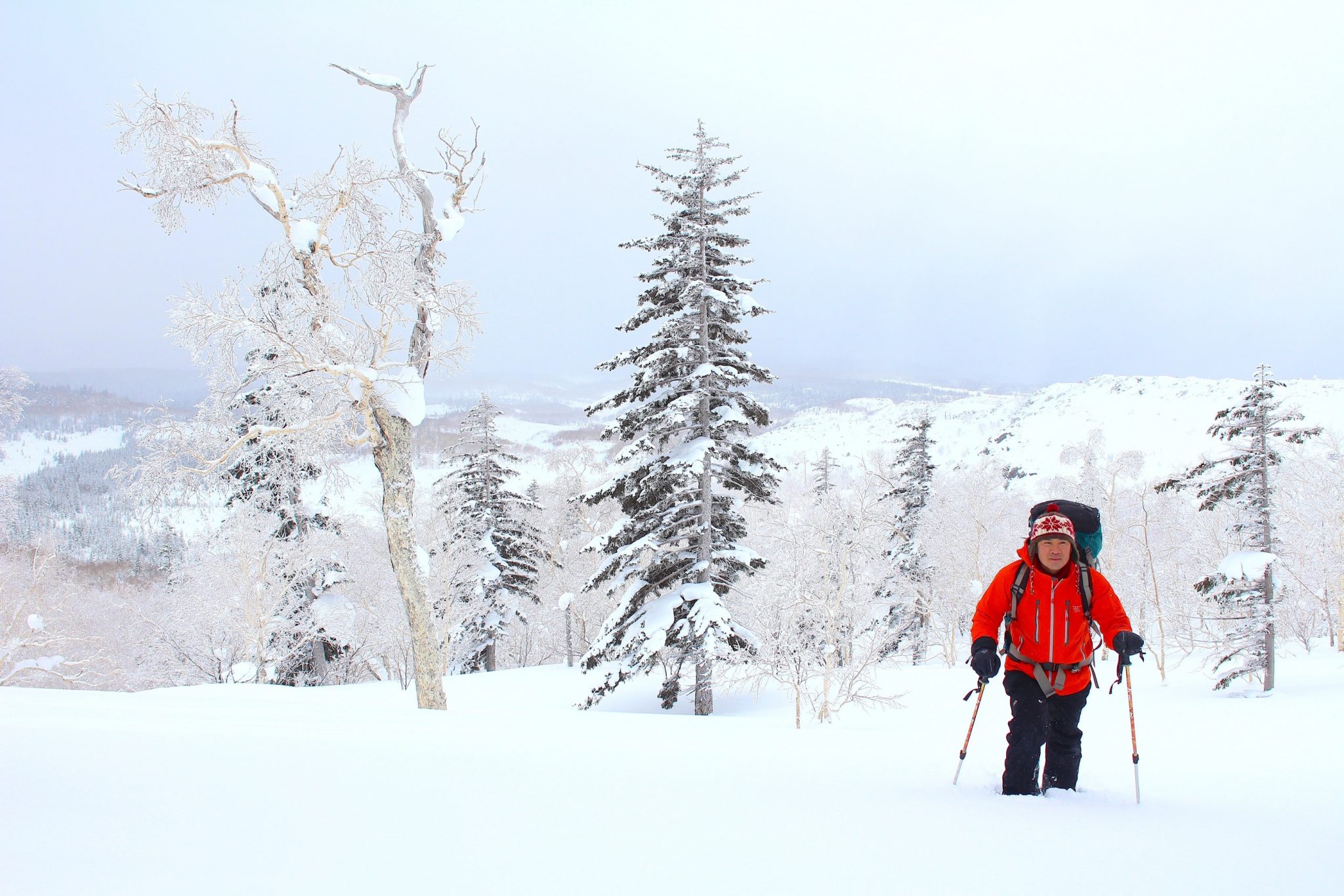 Snowshoer, Daisetsuan National Park, Japan