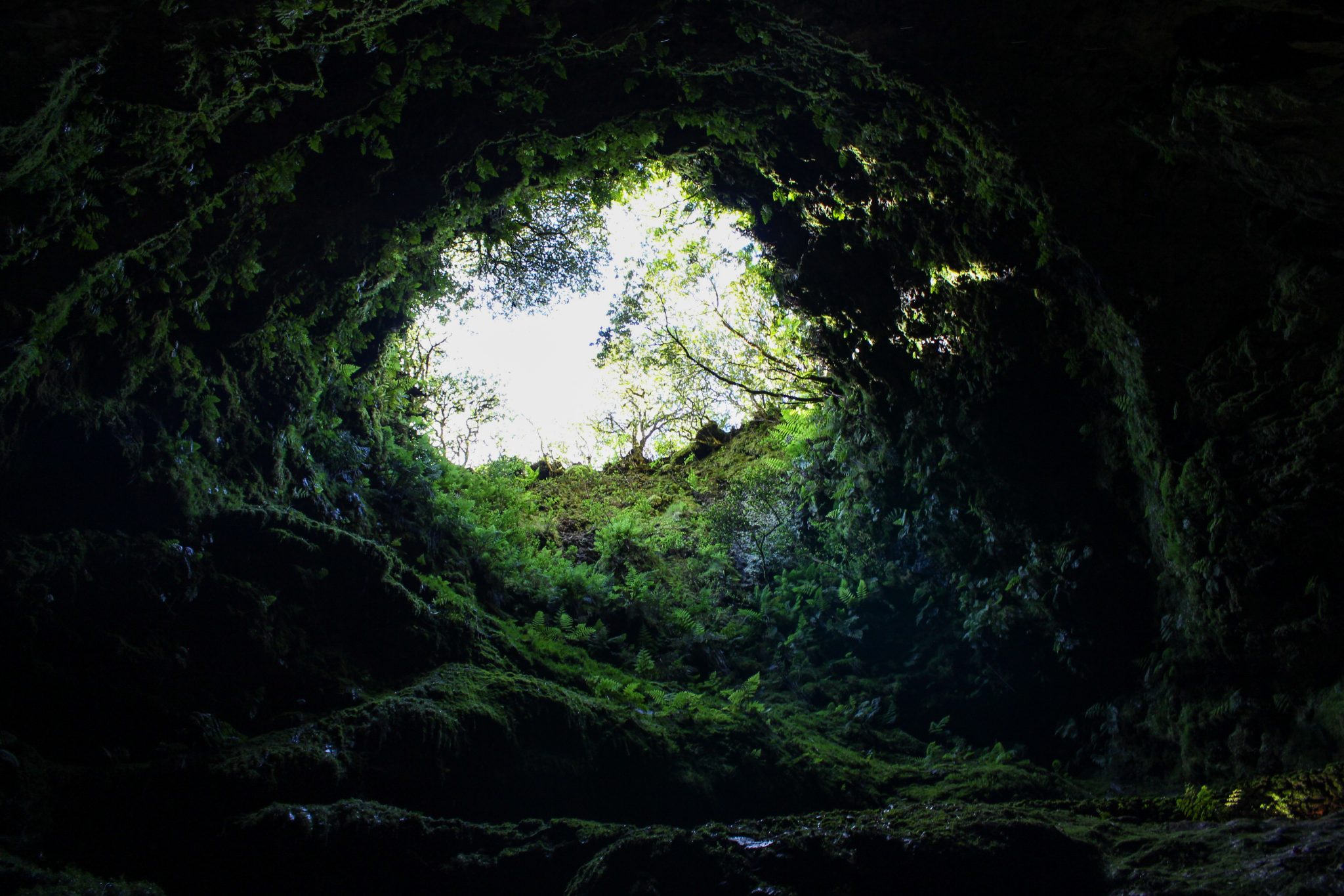 Algar do Carvão, Terceira, The Azores, Portugal