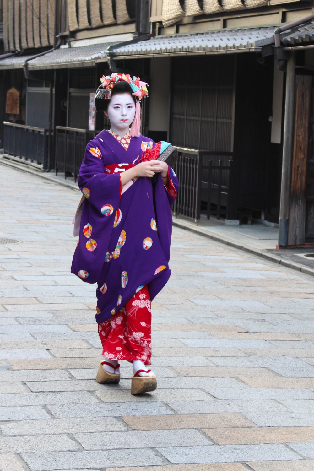 Geisha, Kyoto, Japan