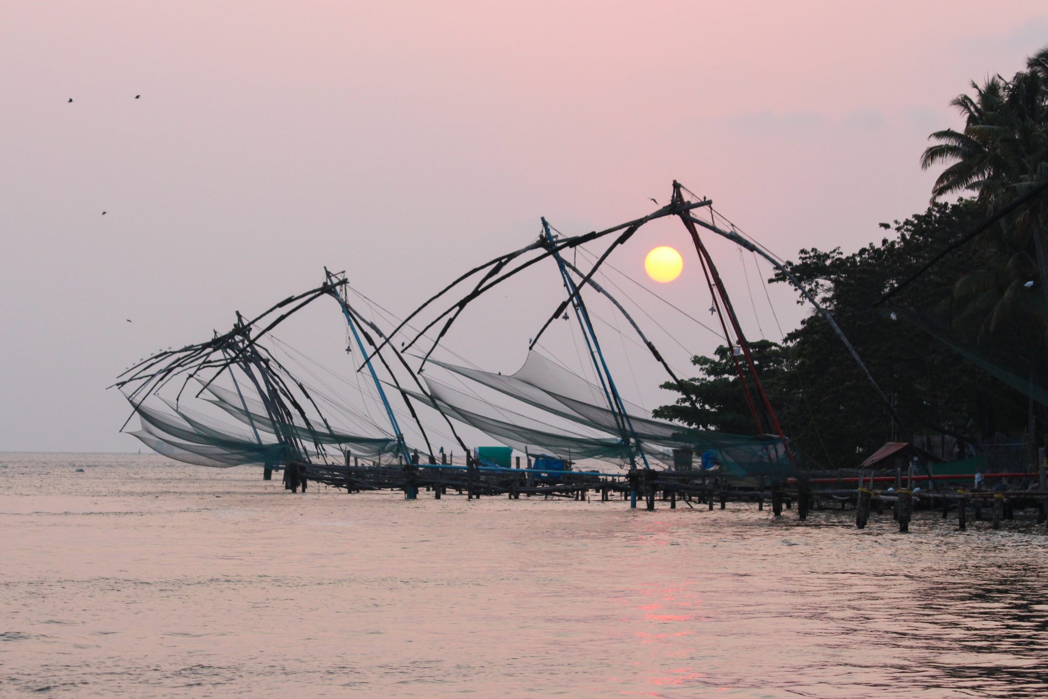 Fishing nets, Kerala, India