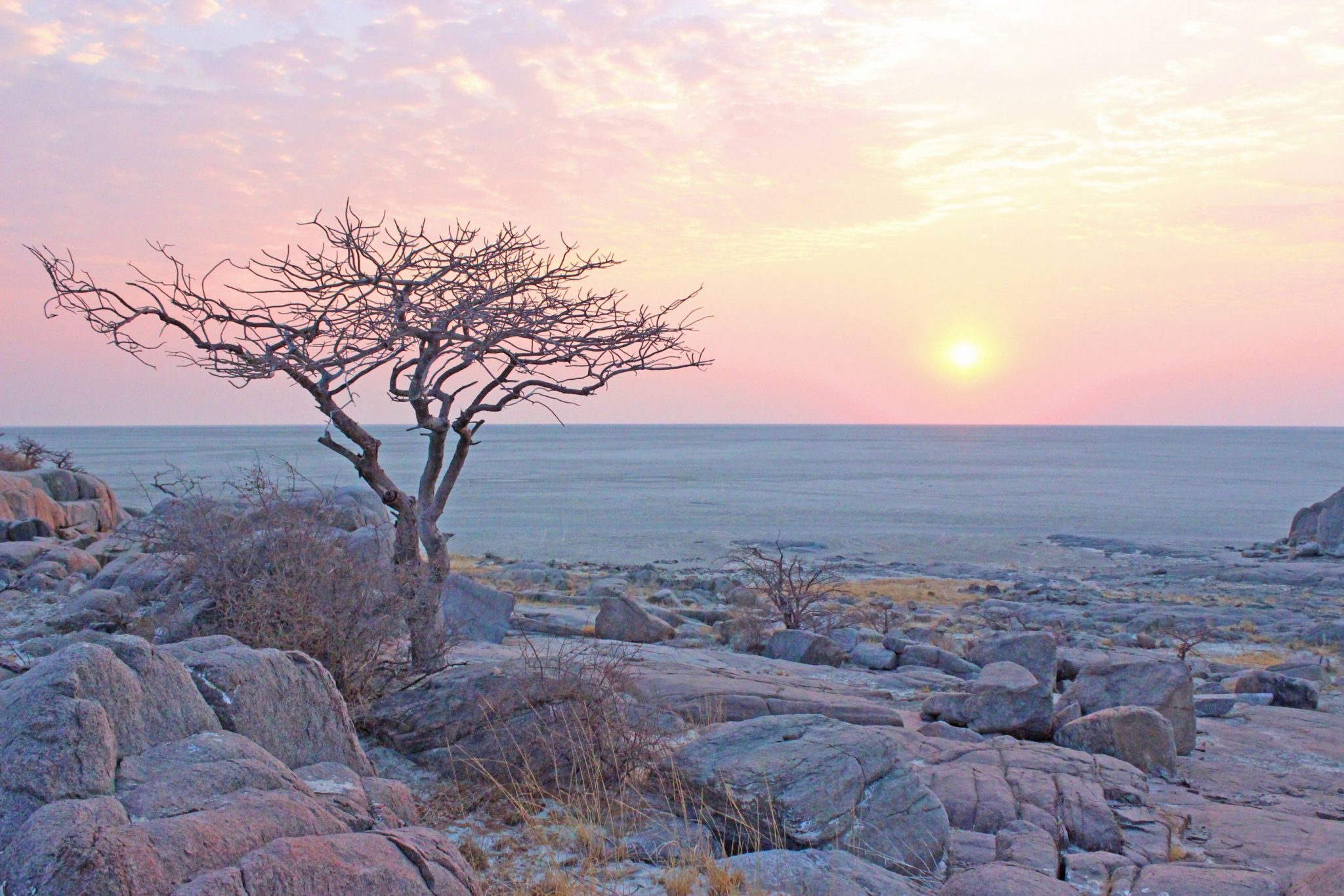 Kubu Island, Makgadikgadi Pans, Botswana