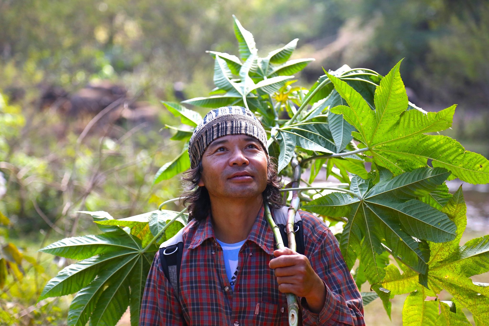 Rang-sri Prasopturm, Red Lahu, Mae Hong Son, Thailand