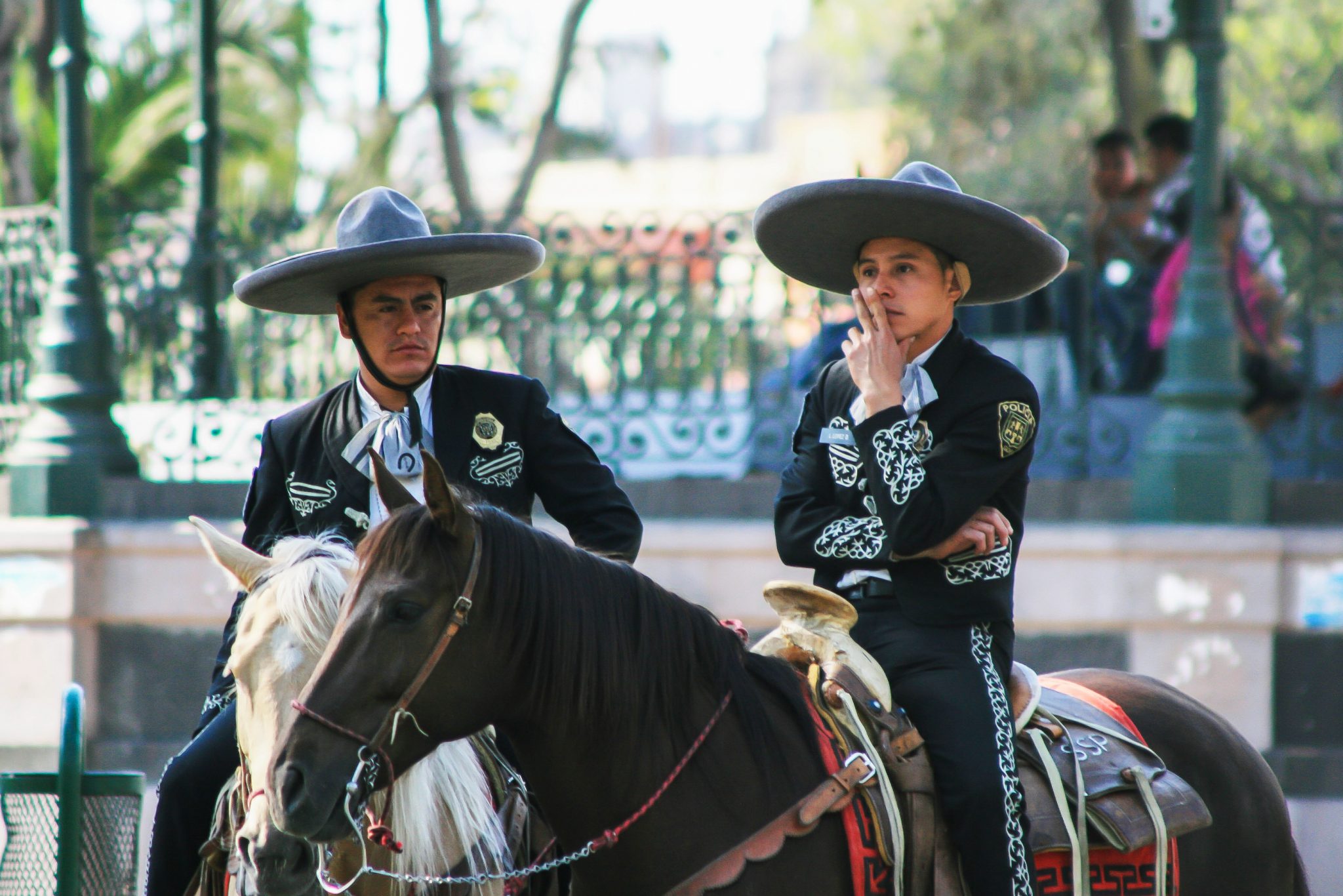 Horseback police, Mexico City, Mexico