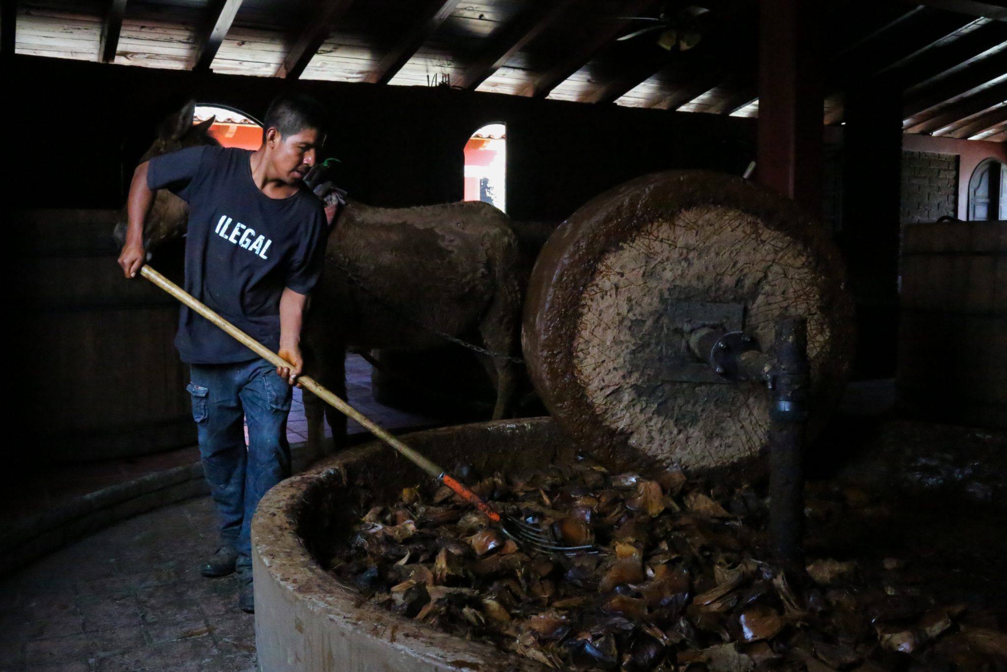Mezcal producer, Oaxaca, Mexico