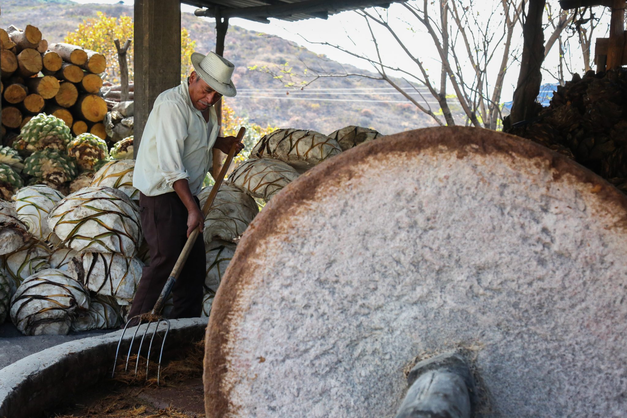 Mezcal producer, San Lorenzo Albarradas, Oaxaca, Mexico