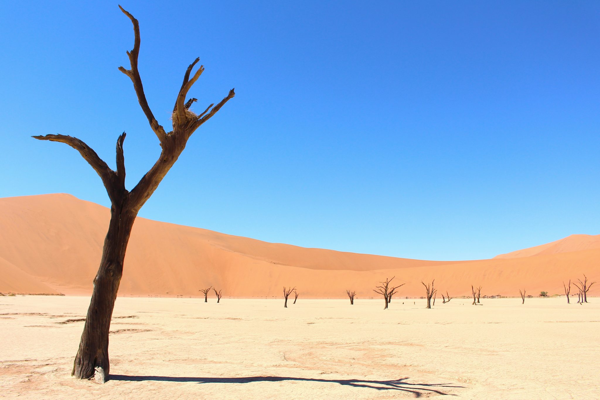 Sossusvlei, Namib desert, Namibia