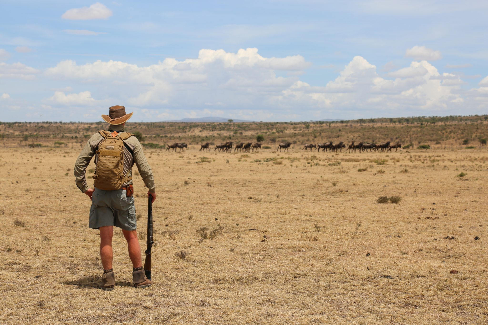 Roelof Schutte and wildebeest, Lemek Conservancy, Kenya