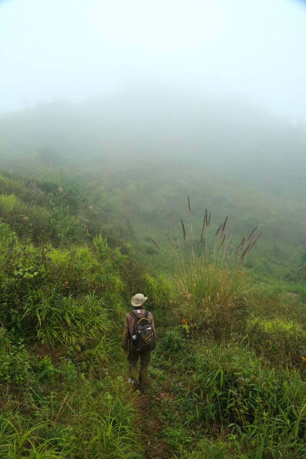 Nam Et-Phou Louey, Laos