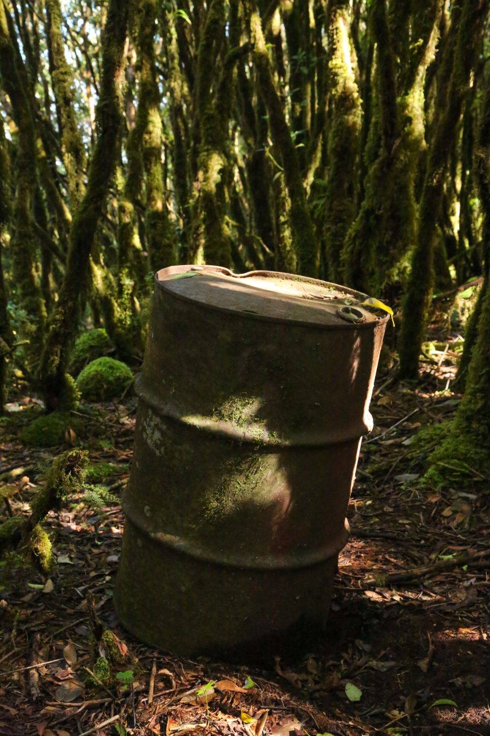 Oil drum, Phou Louey, Laos