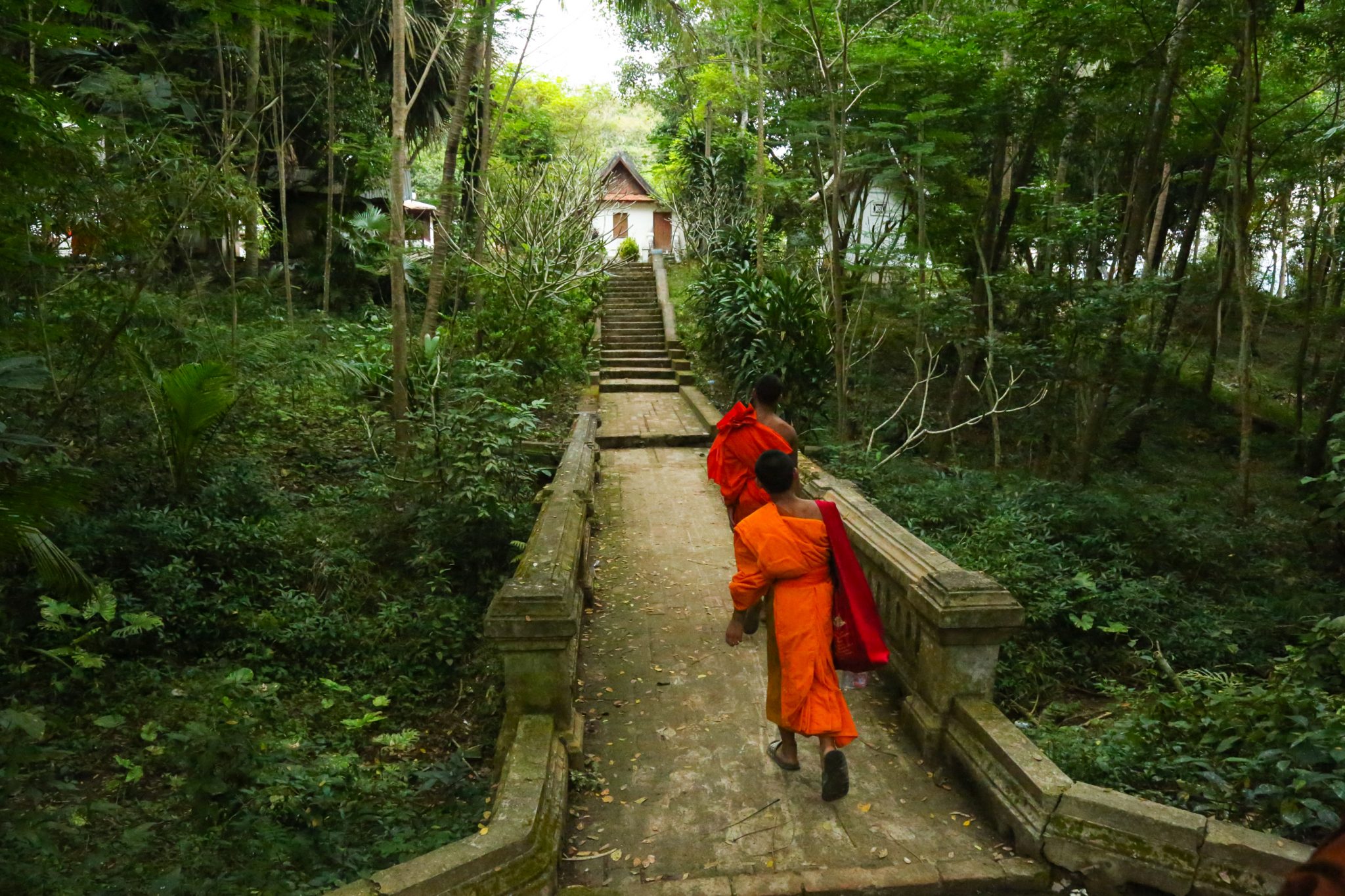 Novice monks, Luang Prabang, Laos