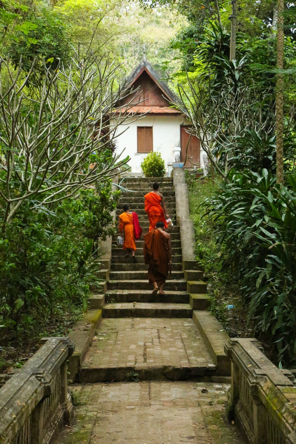Novice monks, Luang Prabang, Laos