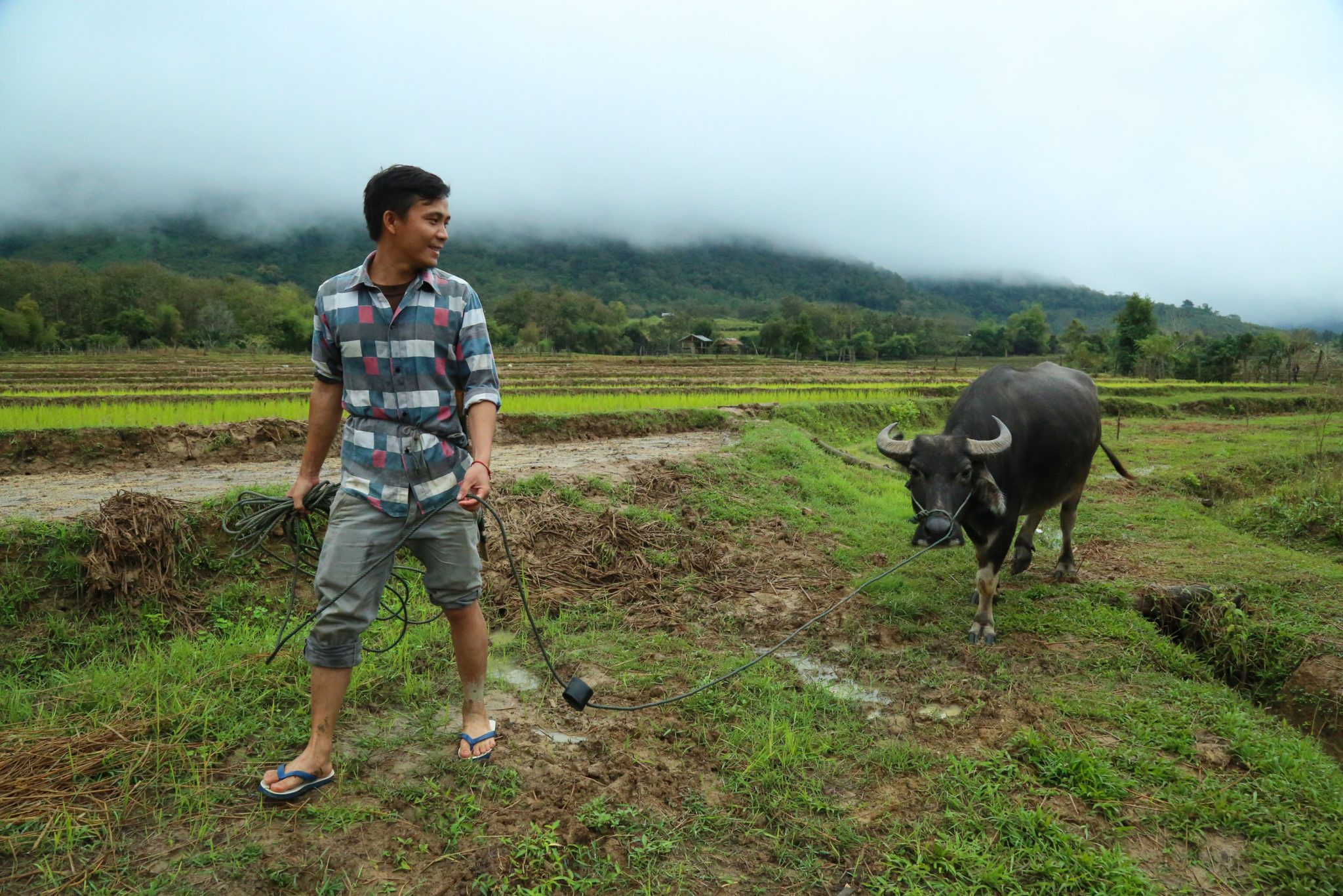 Farmer, Ban Thinsom, Laos