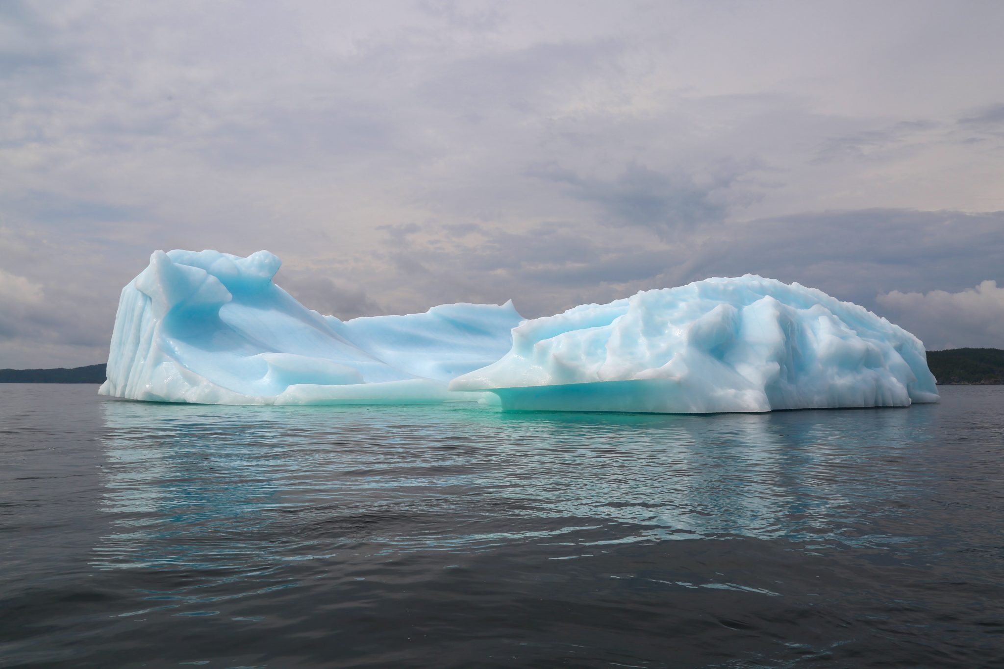 Iceberg, Newfoundland, Canada