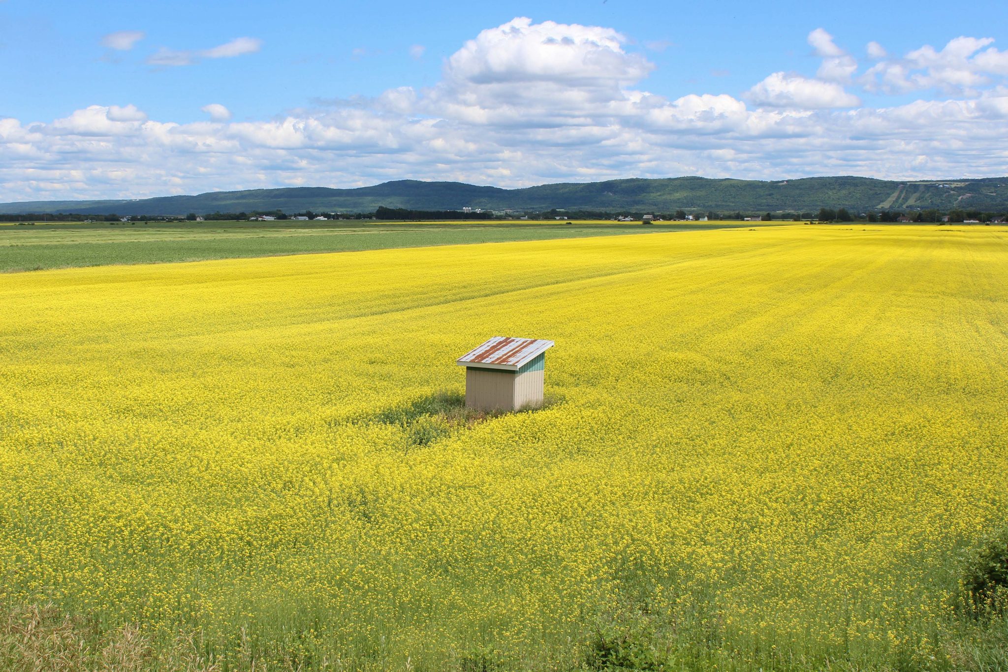 Field, Quebec, Canada