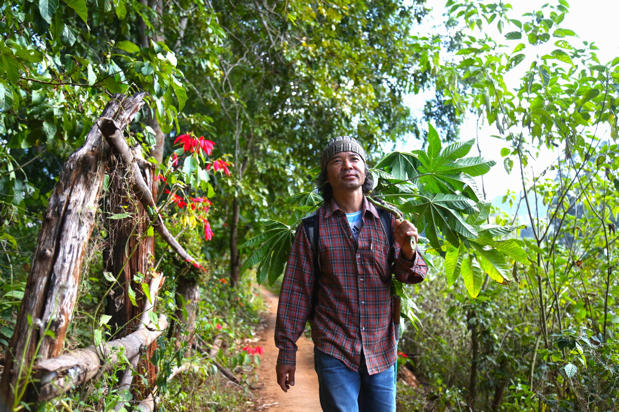 Rang-sri Prasopturm, Red Lahu, Mae Hong Son, Thailand