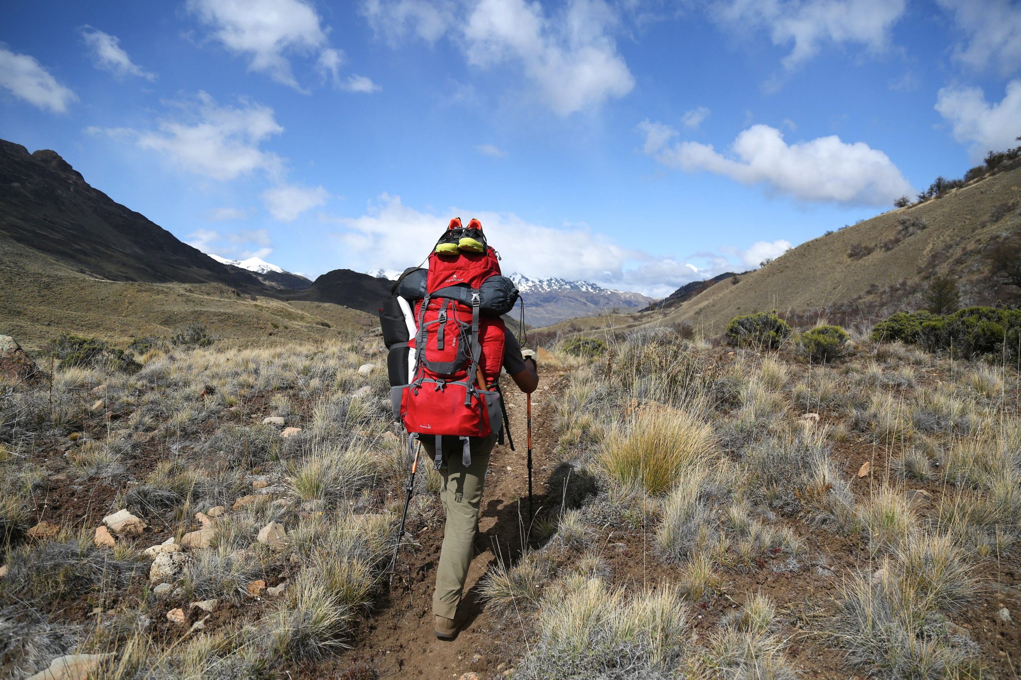 Hiker, Patagonia Park, Chile