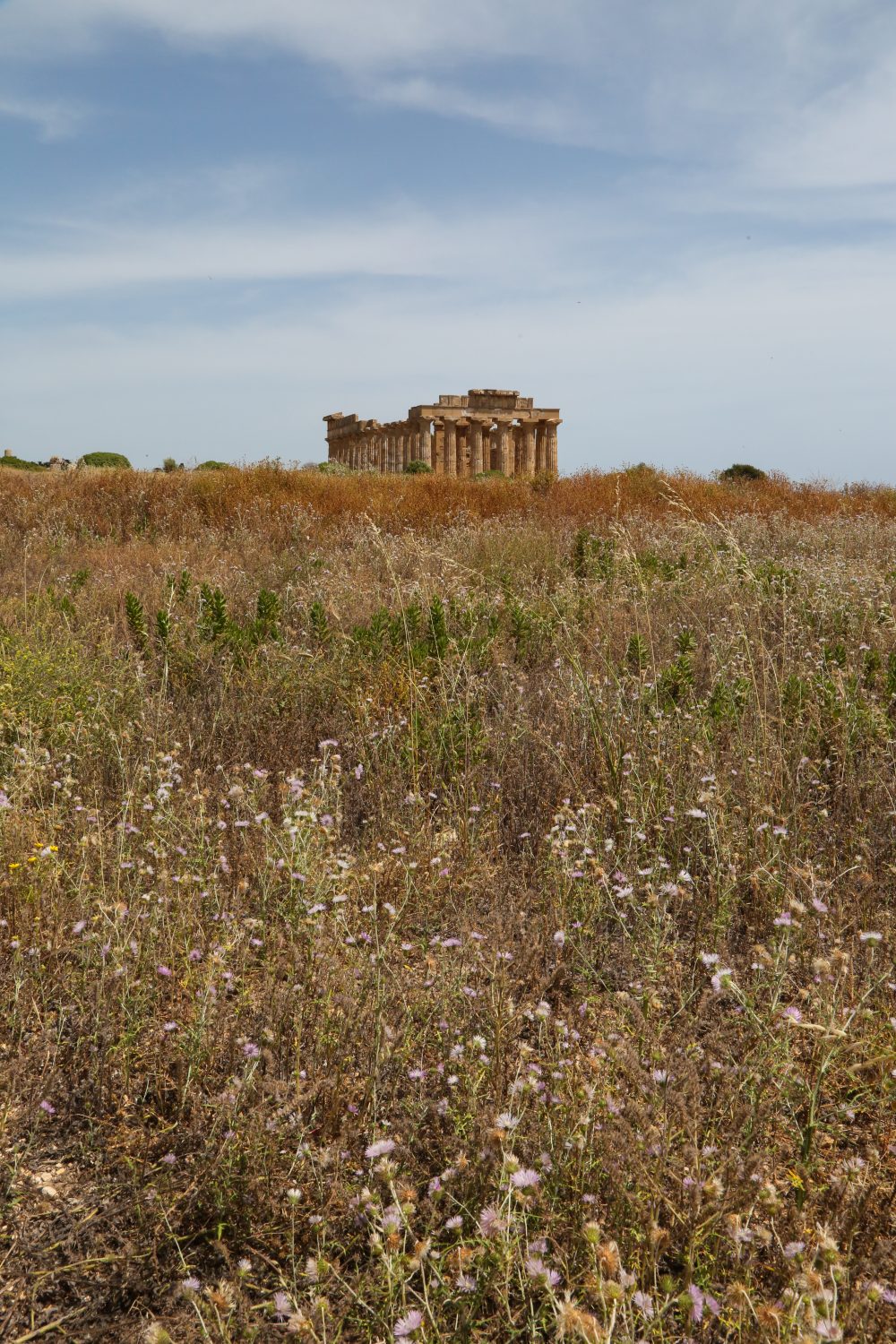 Selinunte temple, Sicily, Italy