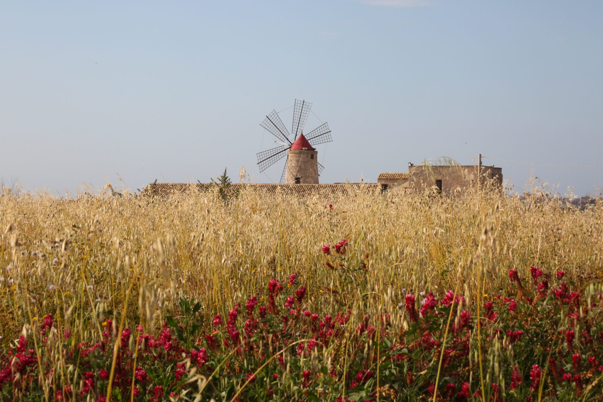 Windmill, Nubia salt flats, Sicily, Italy