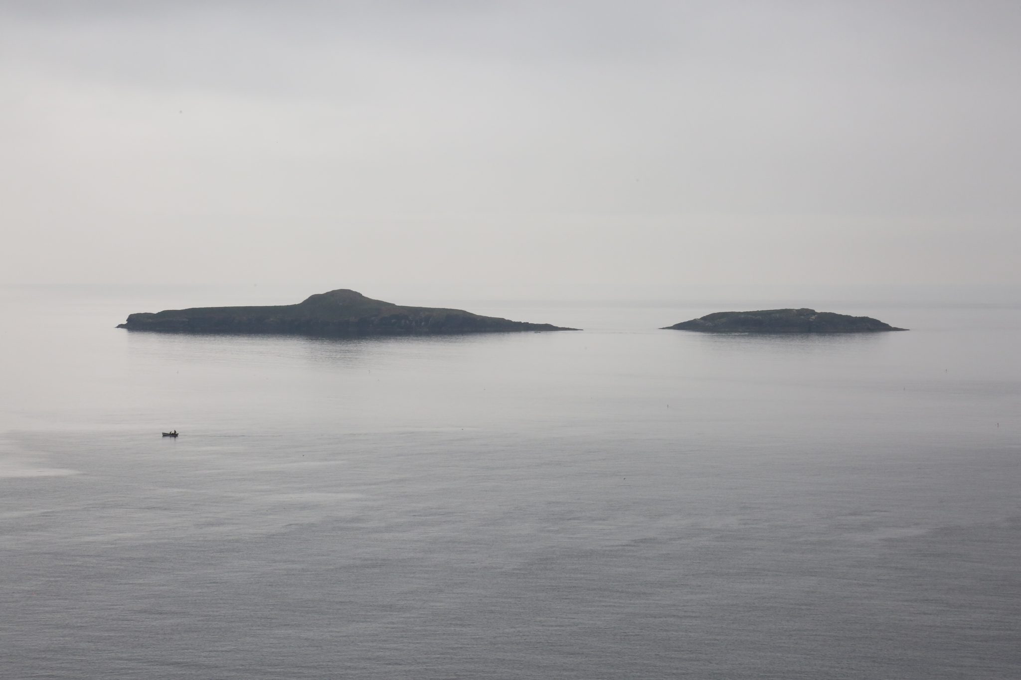 Ynys Gwylan-Fawr and Ynys Gwylan-Fach, Aberdaron, Wales