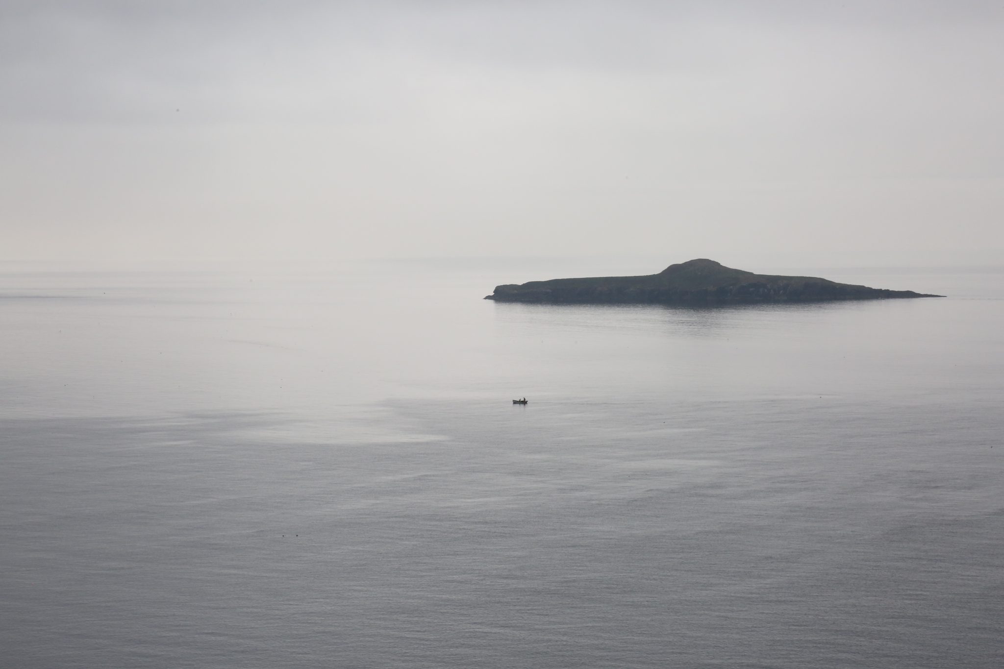 Ynys Gwylan-Fawr, Aberdaron, Wales