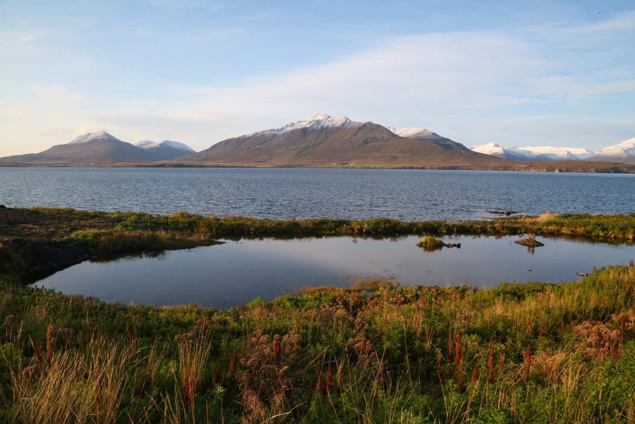 Duck pond, Hrisey, Iceland