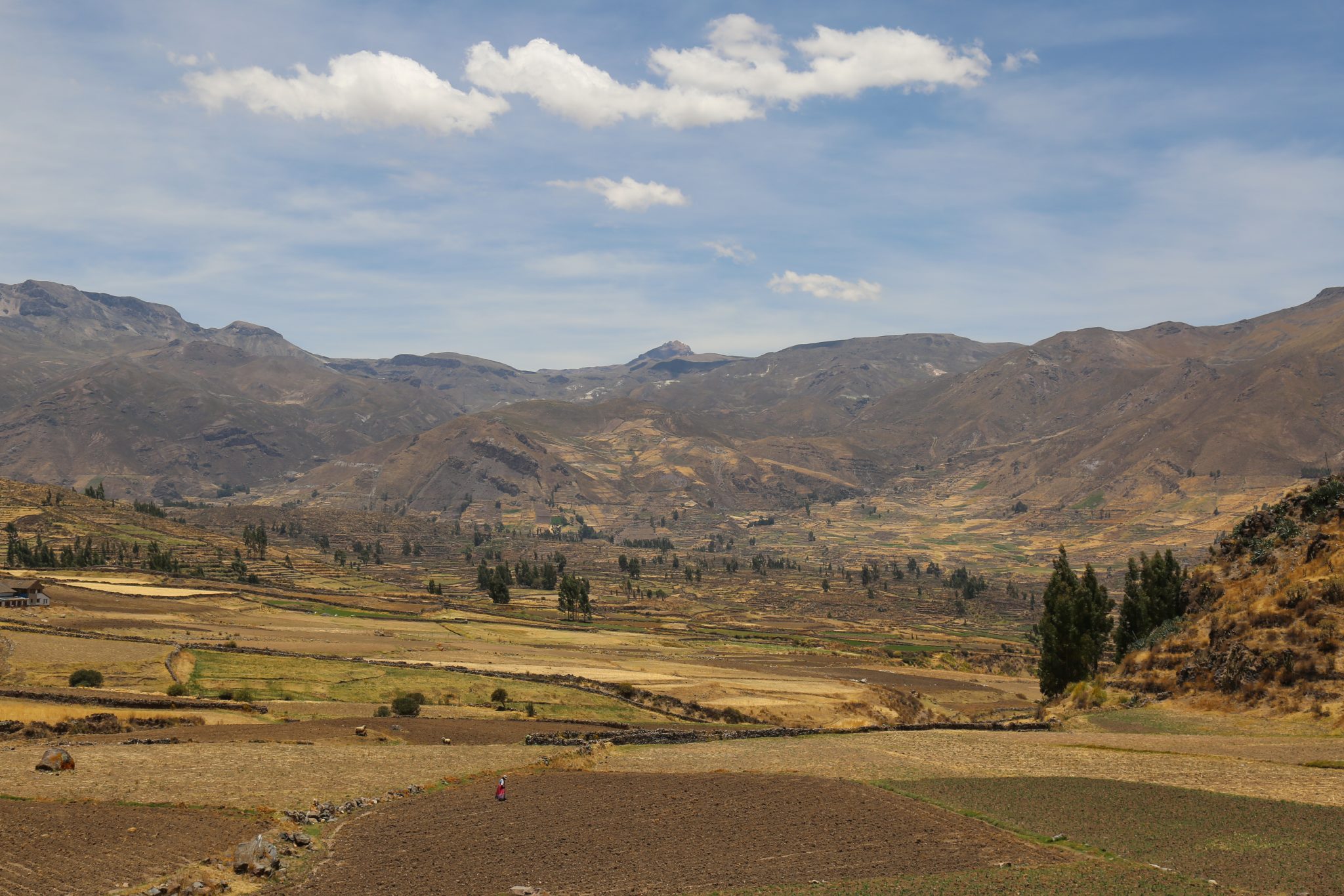 Local woman, Colca Canyon, Peru