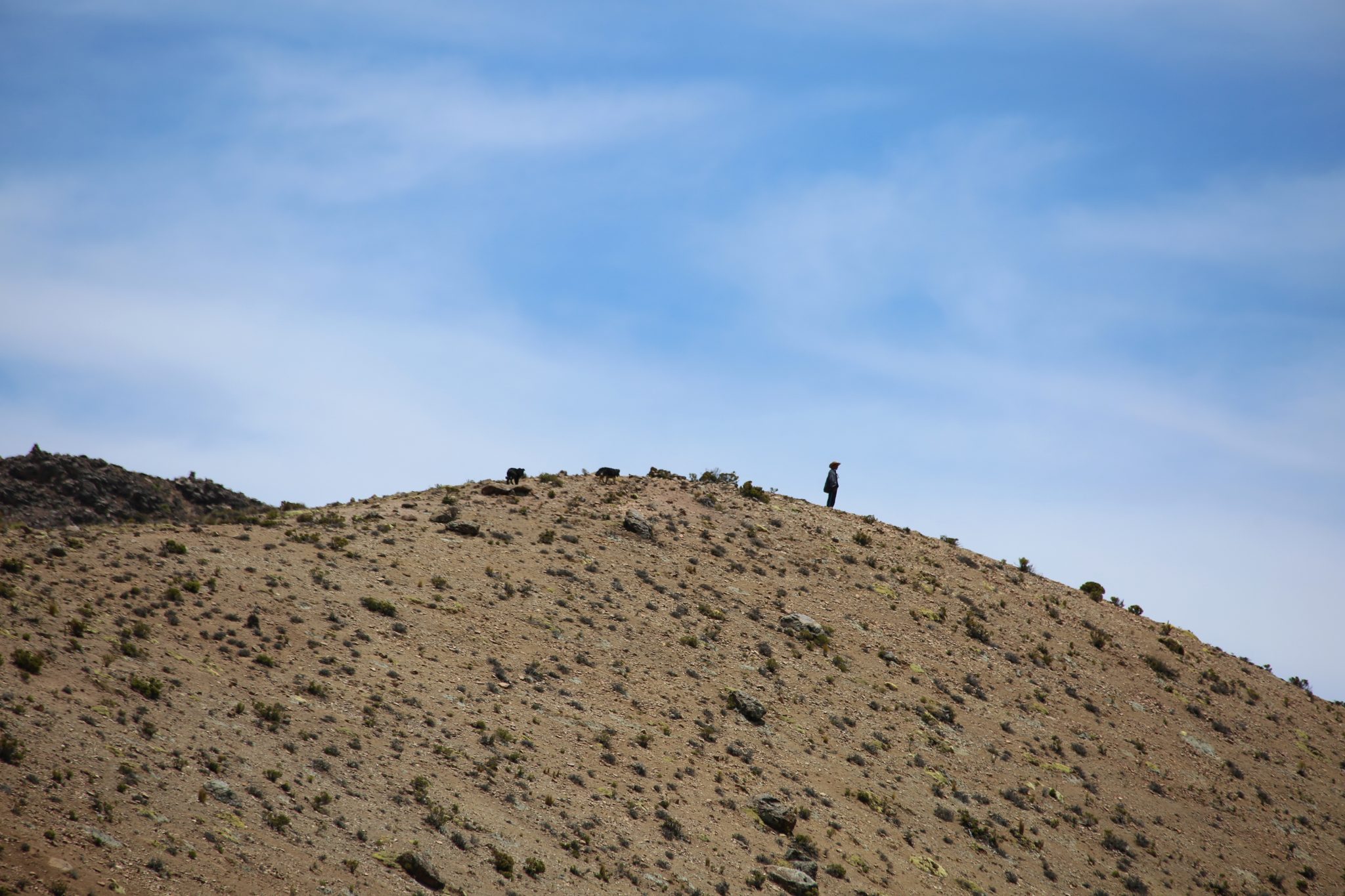 Farmer, Colca Canyon, Peru