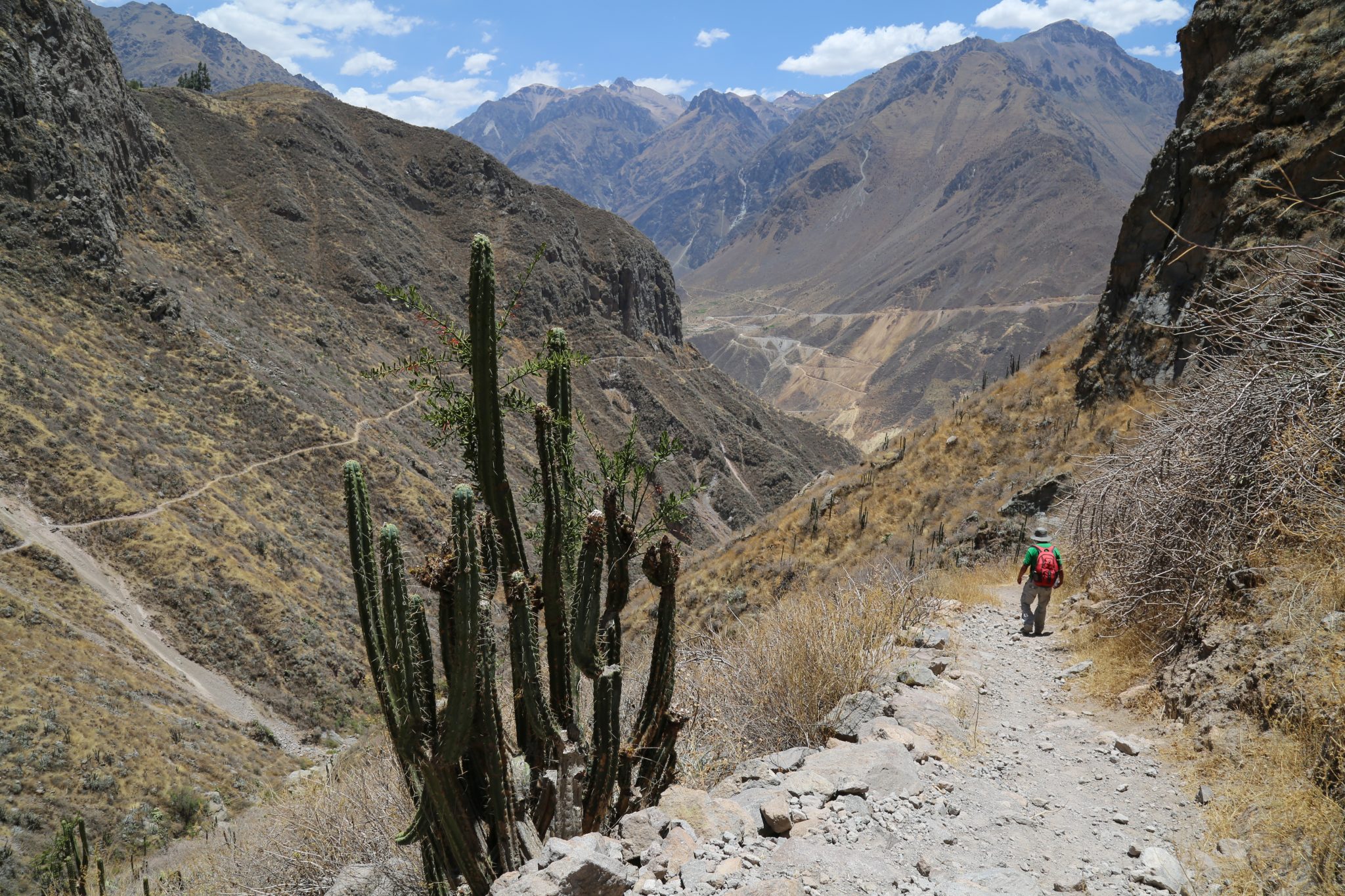 Hiker, Colca Canyon, Peru