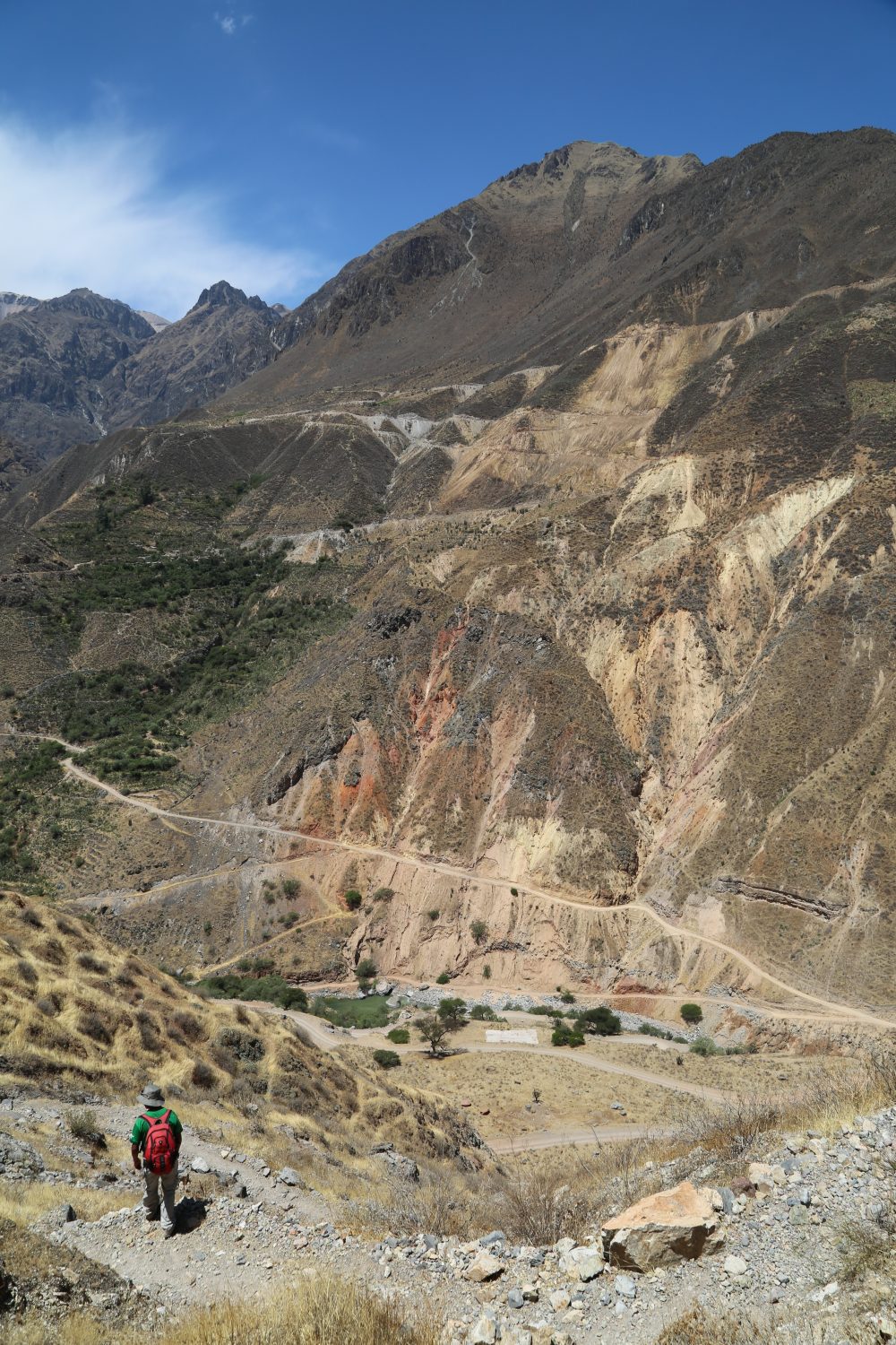 Hiker, Colca Canyon, Peru