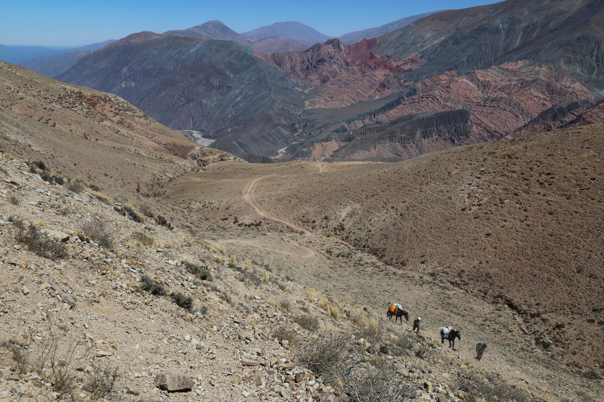 Horses and owners, Salta, Argentina