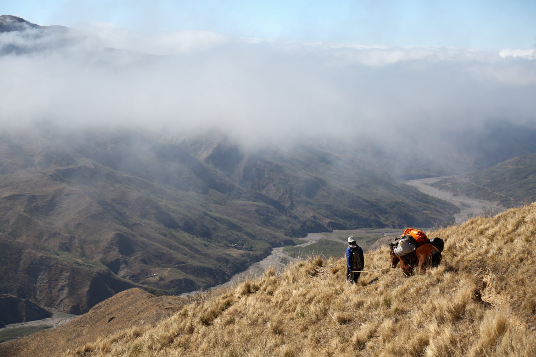 Horse and owner, Salta, Argentina
