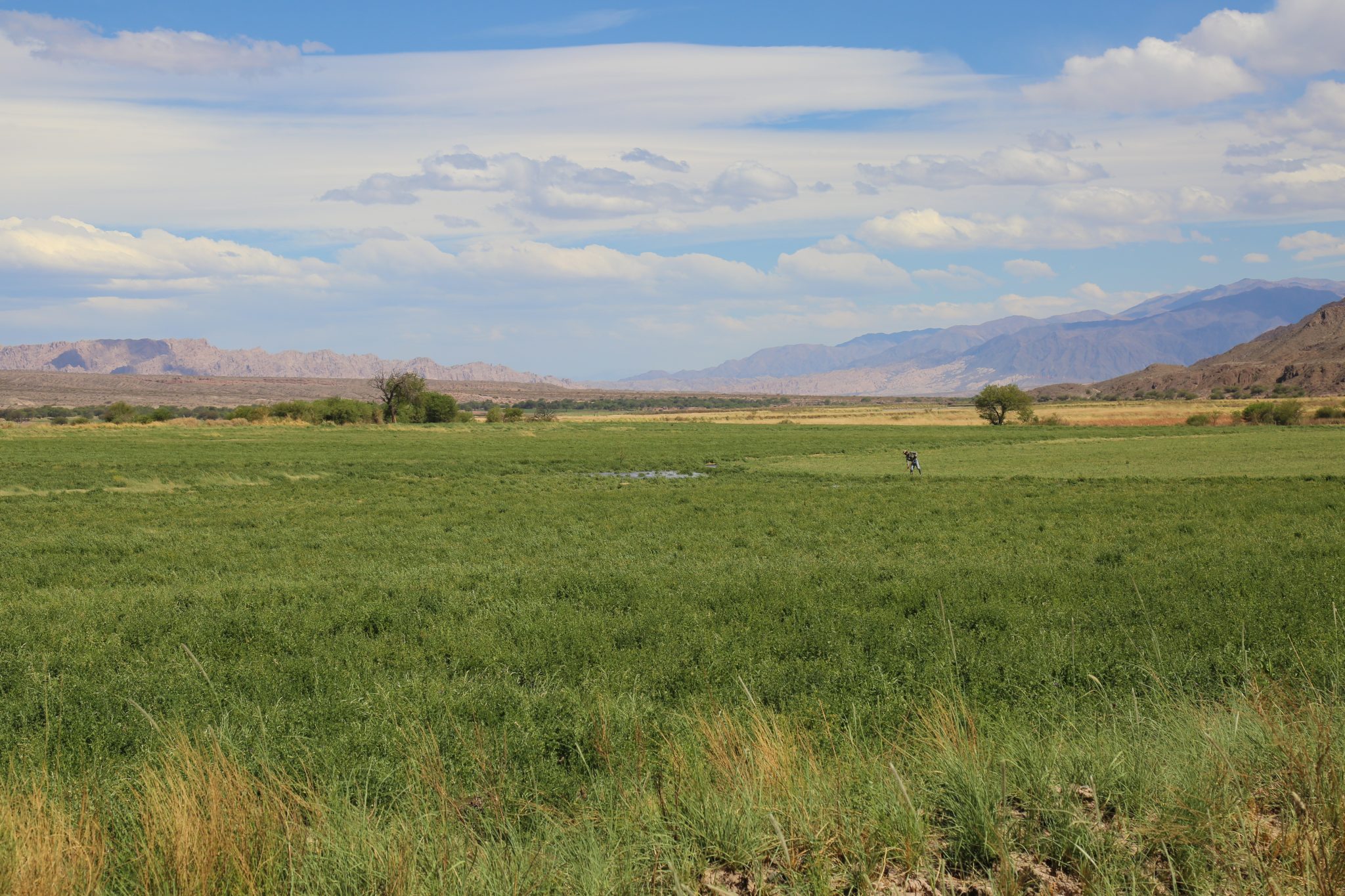 Farmer, Salta, Argentina