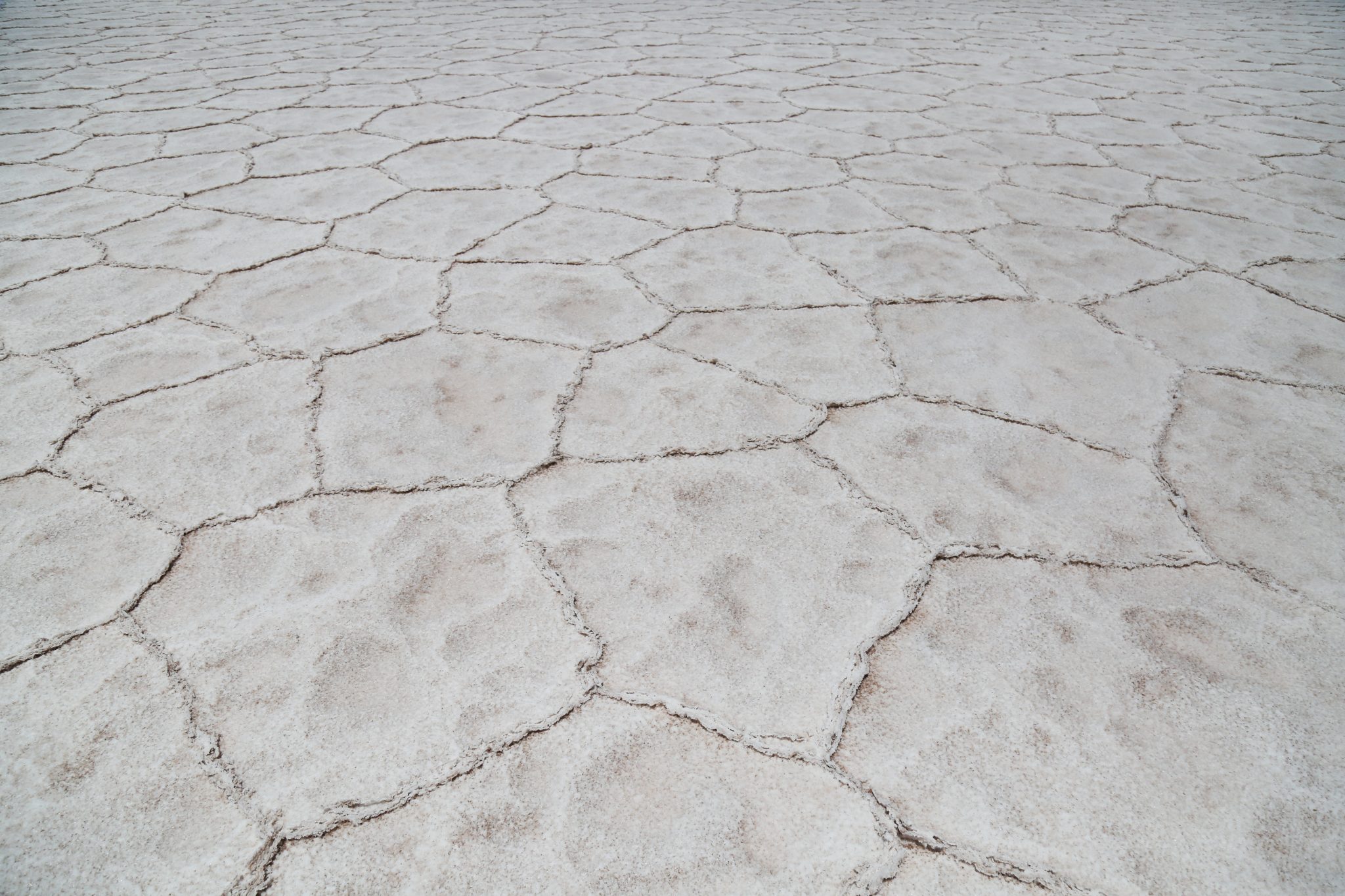 Salt flats, Salta, Argentina