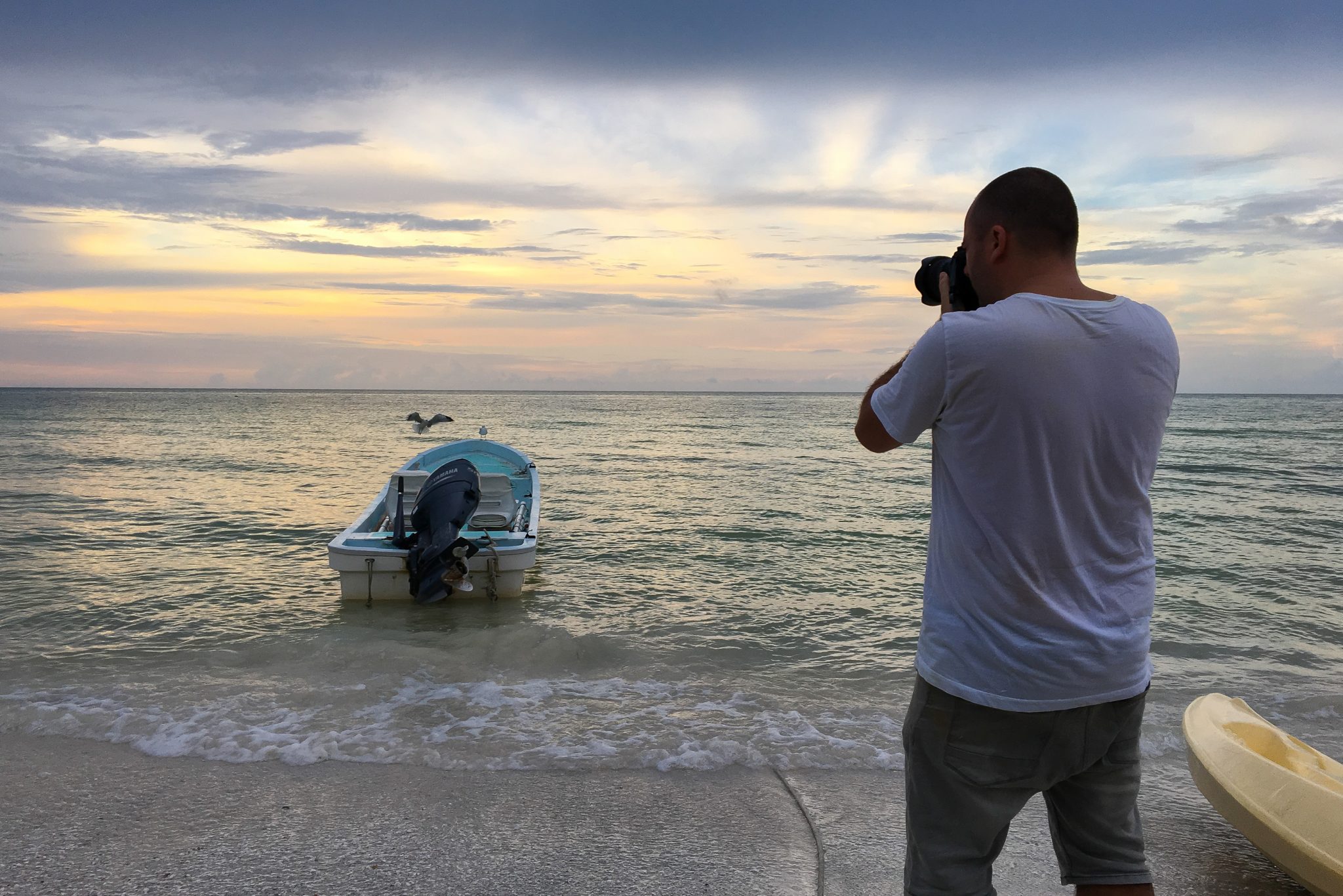 Graeme Green photographing wildlife from jeep