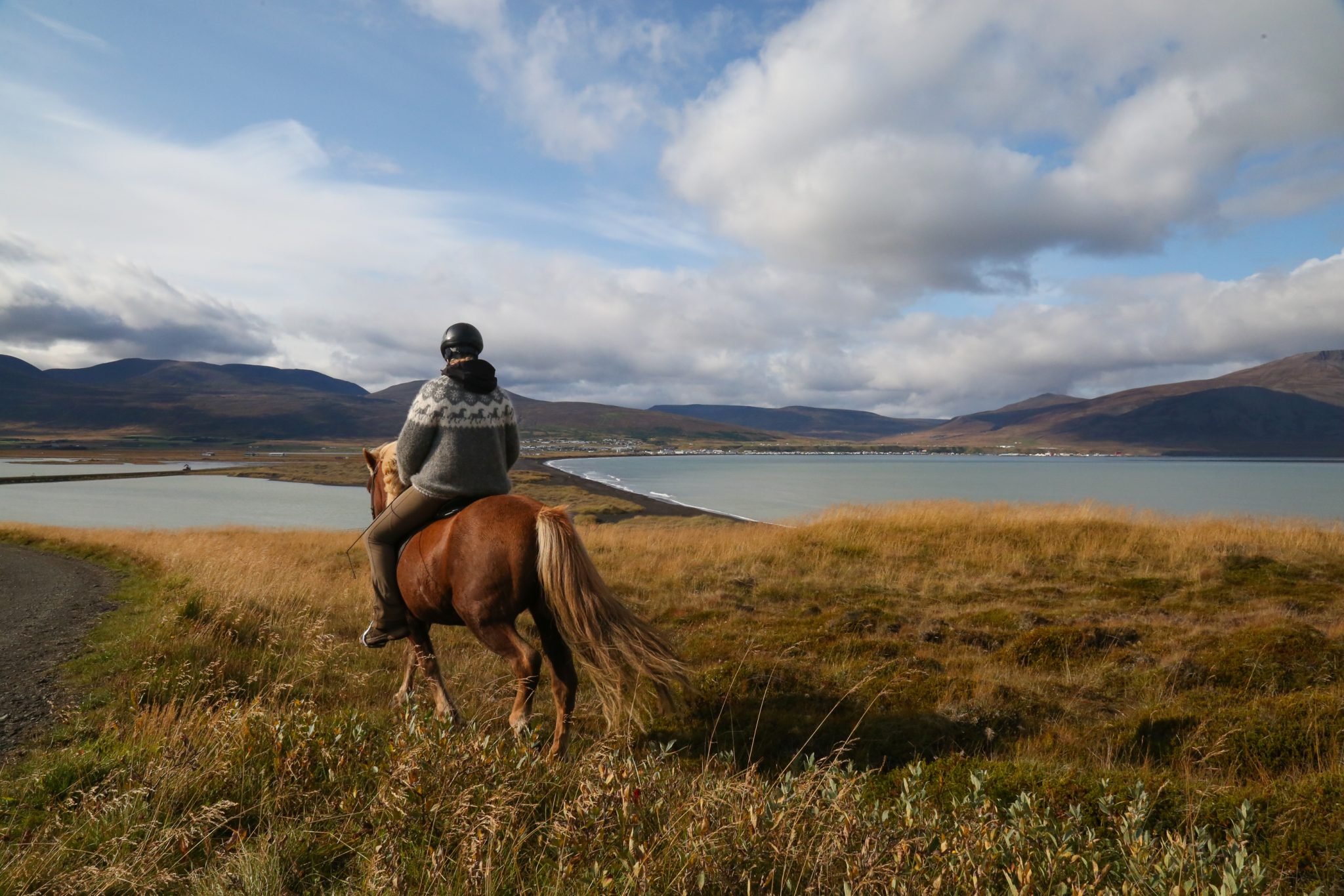 Horse and rider, Sauðárkrókur, Iceland