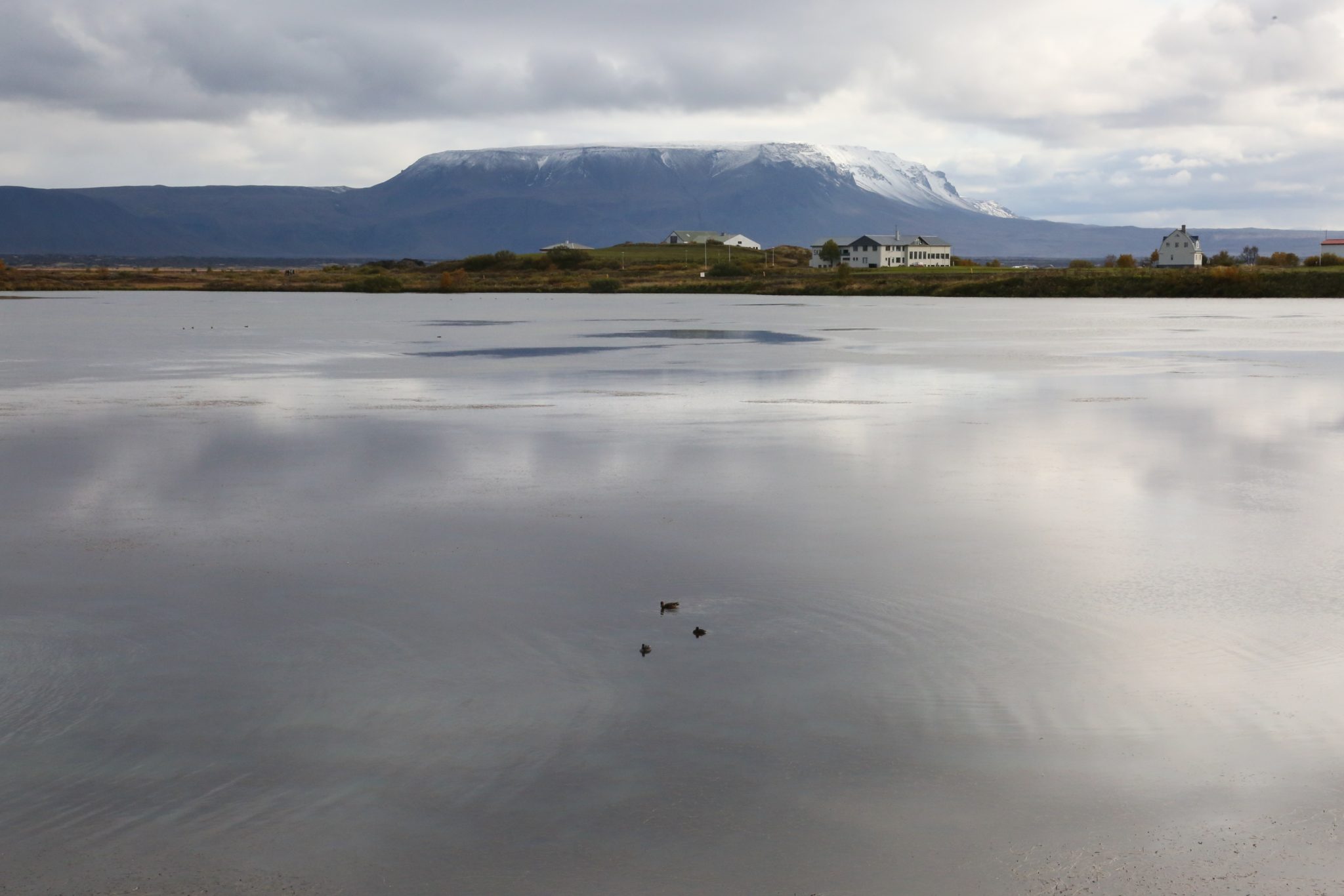 Lake Mývatn, Iceland