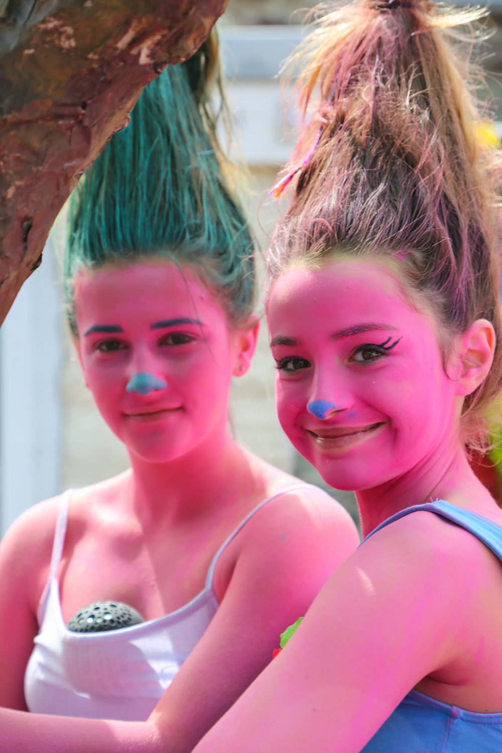 Trolls, Laugharne, Wales