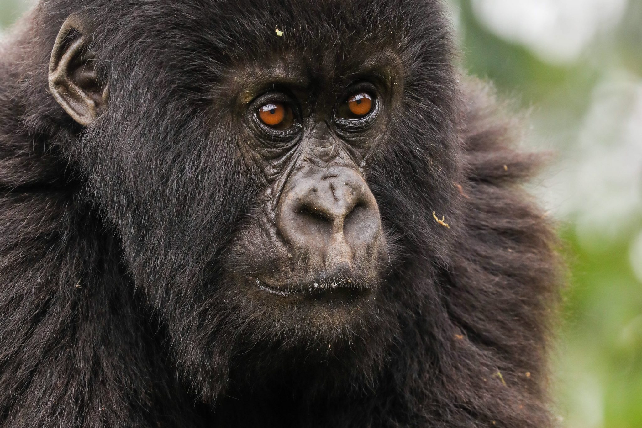 Rwanda
